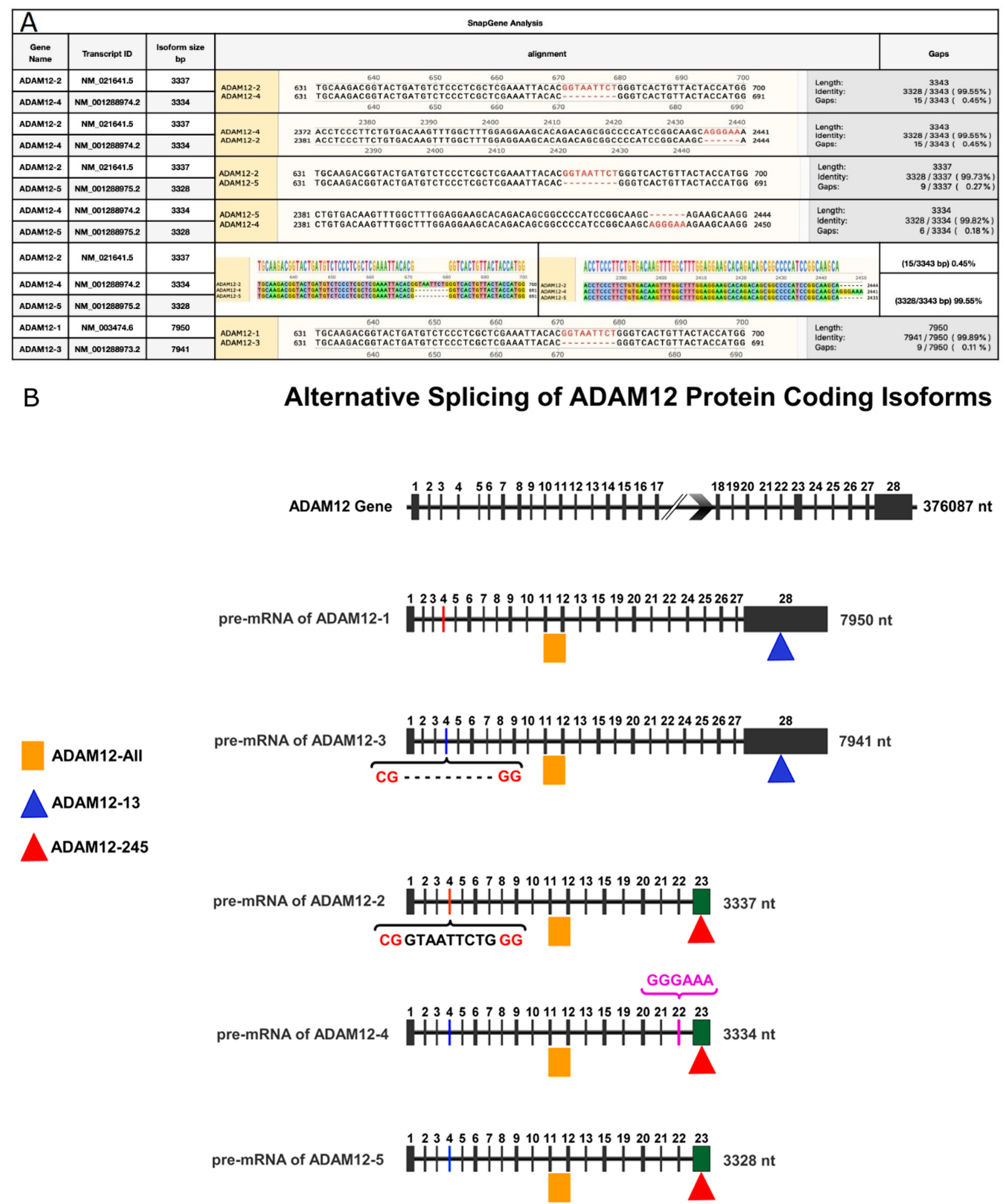 Jpm 13 00135 g003 Jpm 13 00135 g003