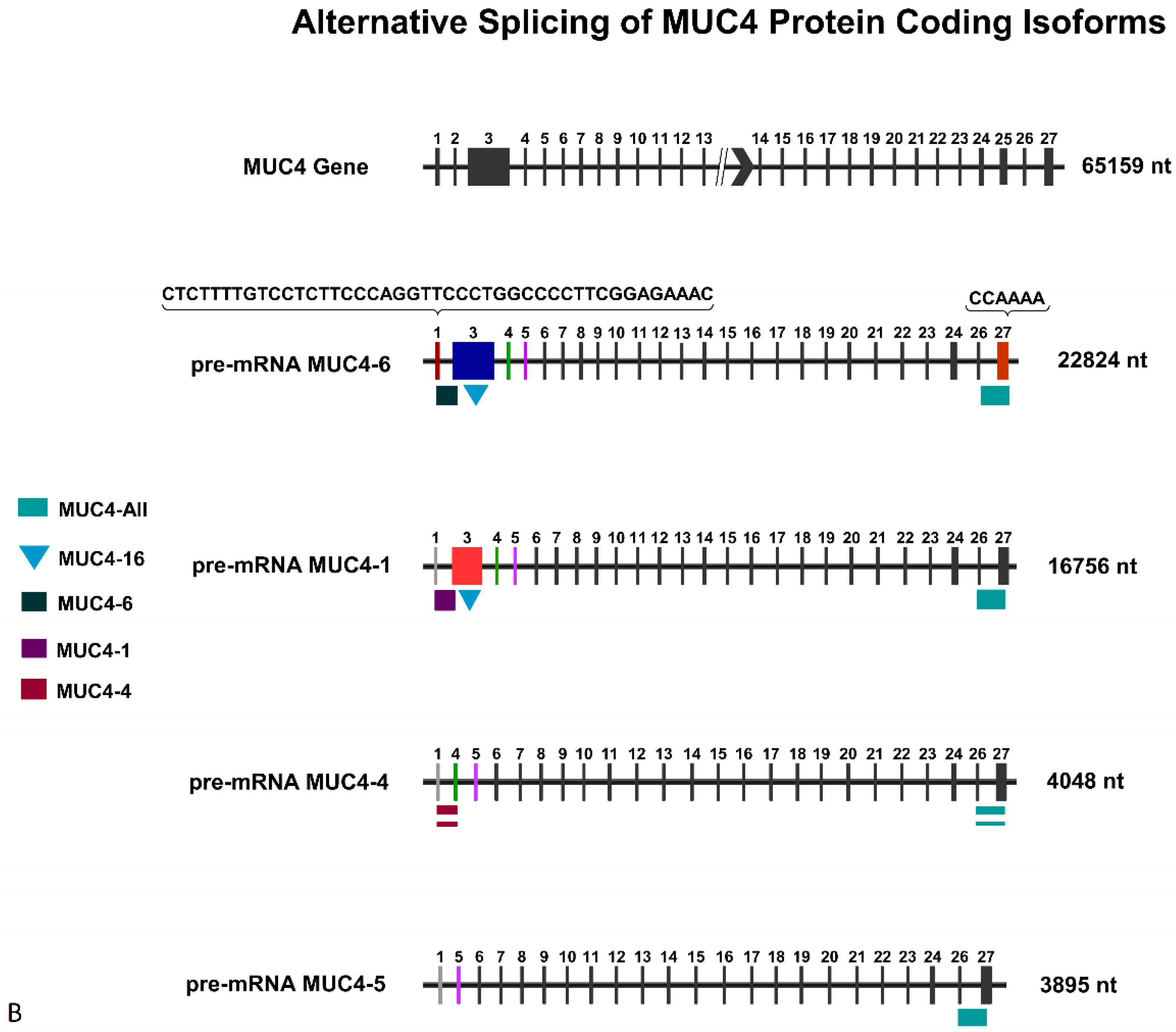 Jpm 13 00135 g004b Jpm 13 00135 g004b