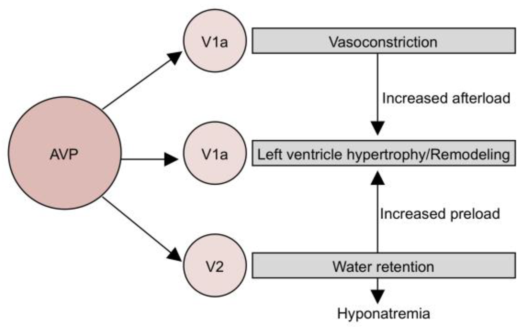 Jpm 13 00140 g001 Jpm 13 00140 g001