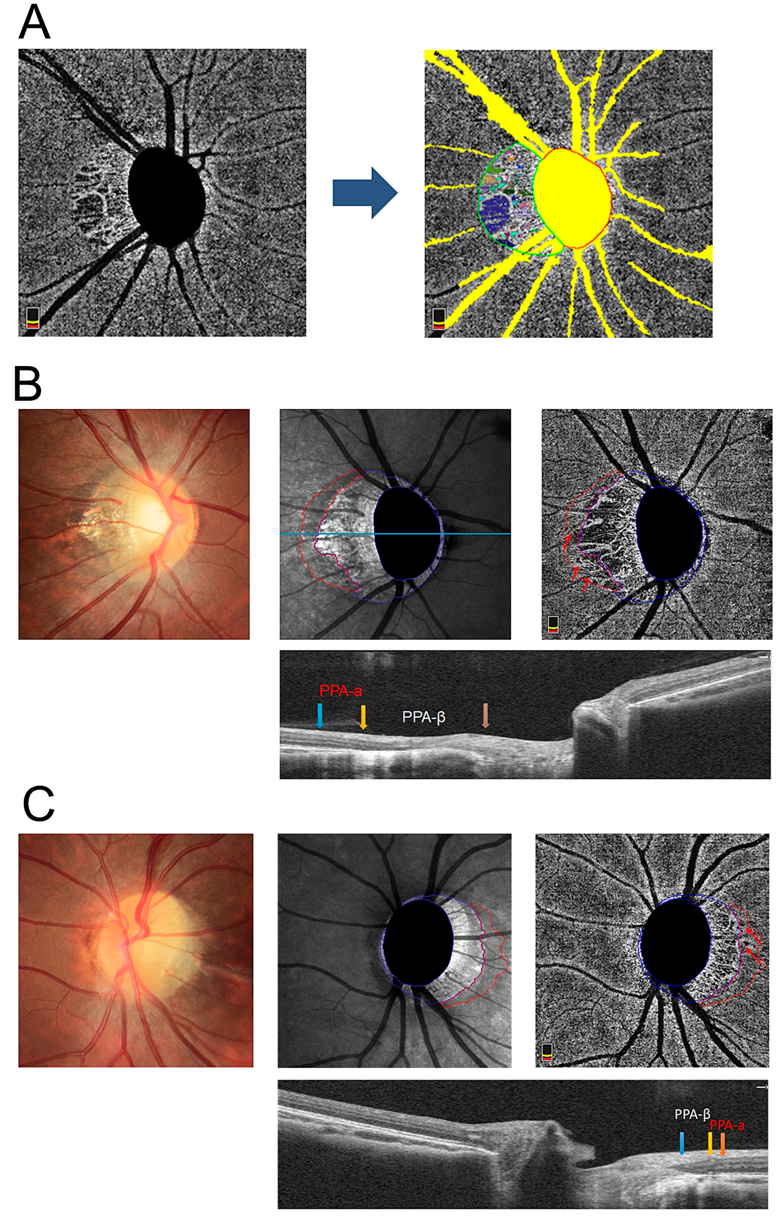 Jpm 13 00289 g001 Jpm 13 00289 g001