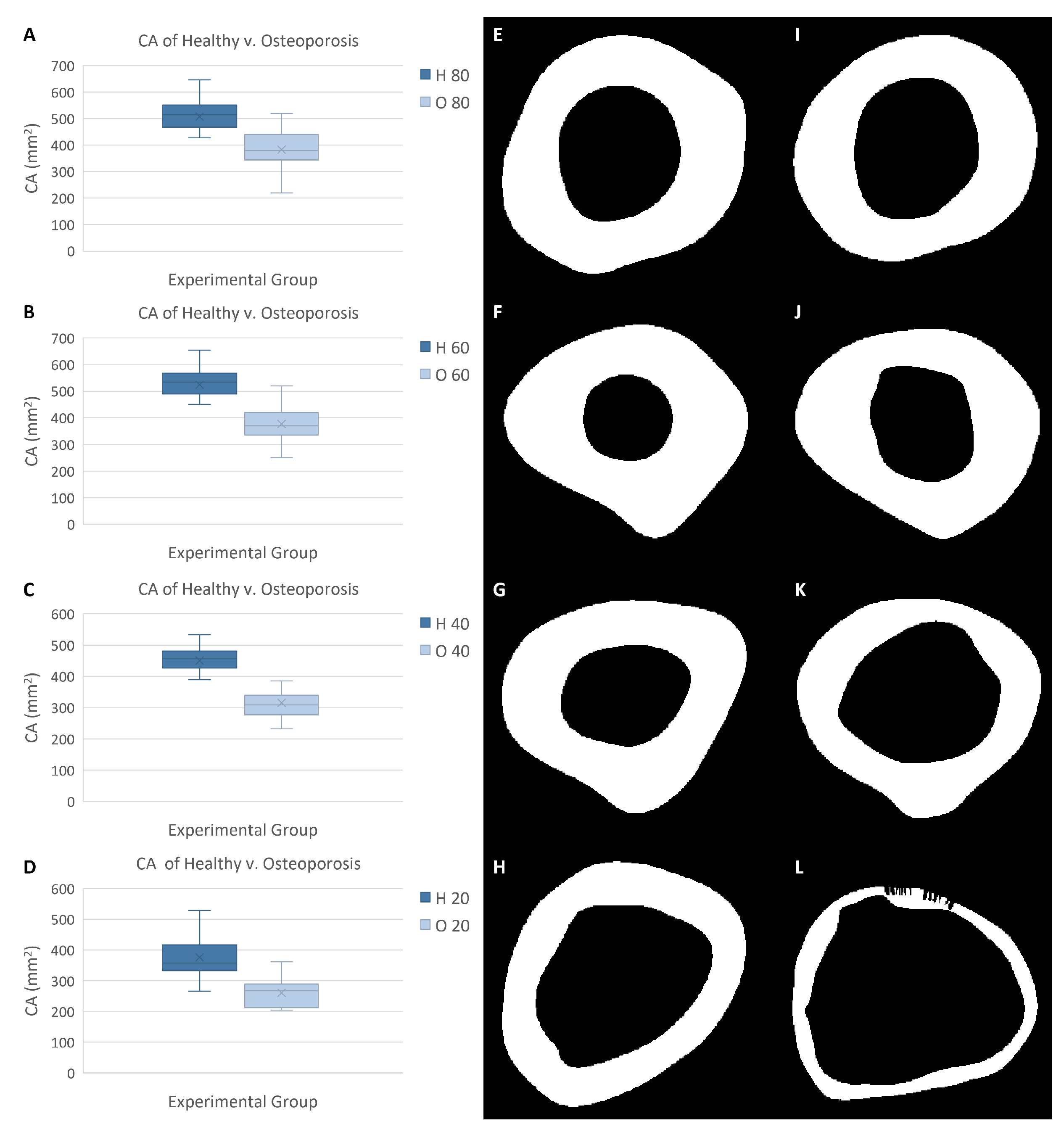 Jpm 13 00321 g006 Jpm 13 00321 g006