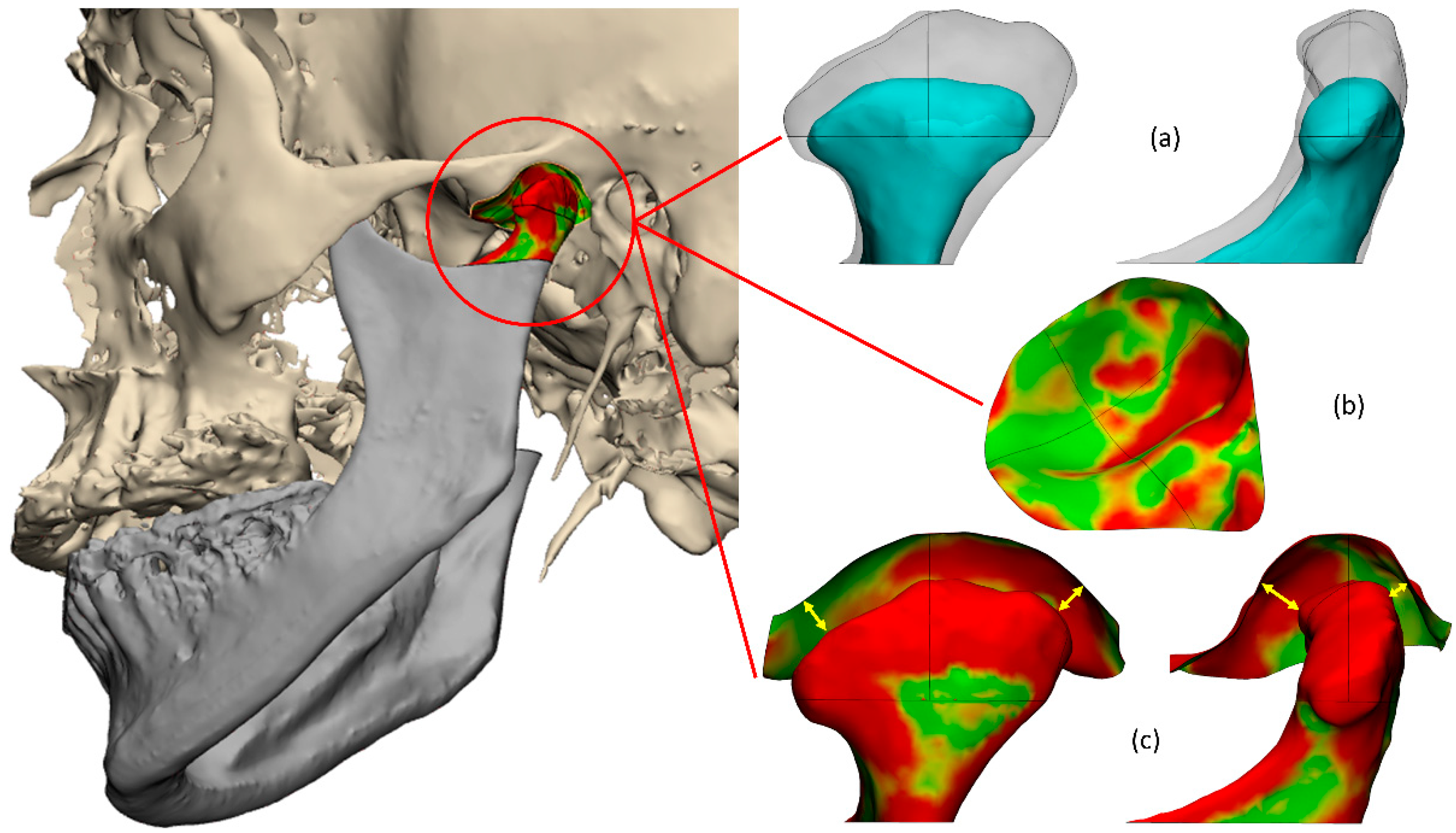 Jpm 13 00343 g001 Jpm 13 00343 g001