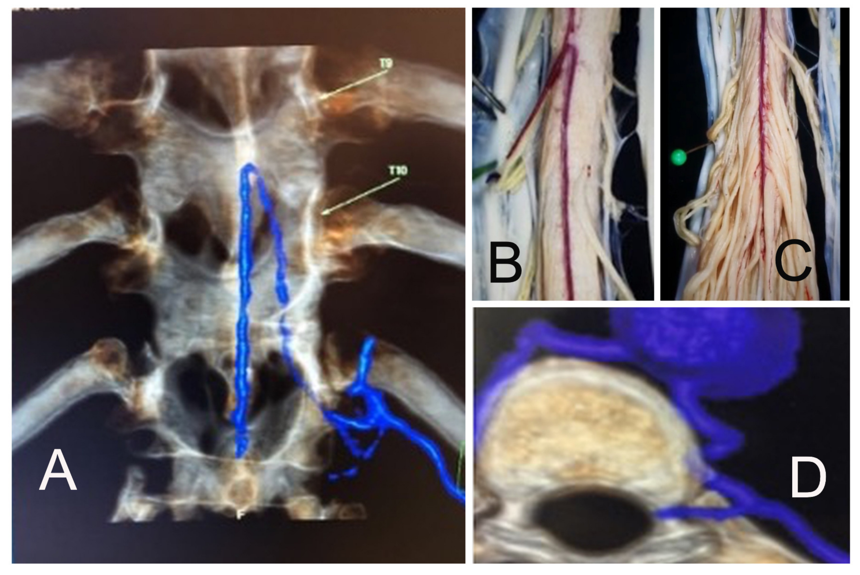 Jpm 13 00356 g001 Jpm 13 00356 g001