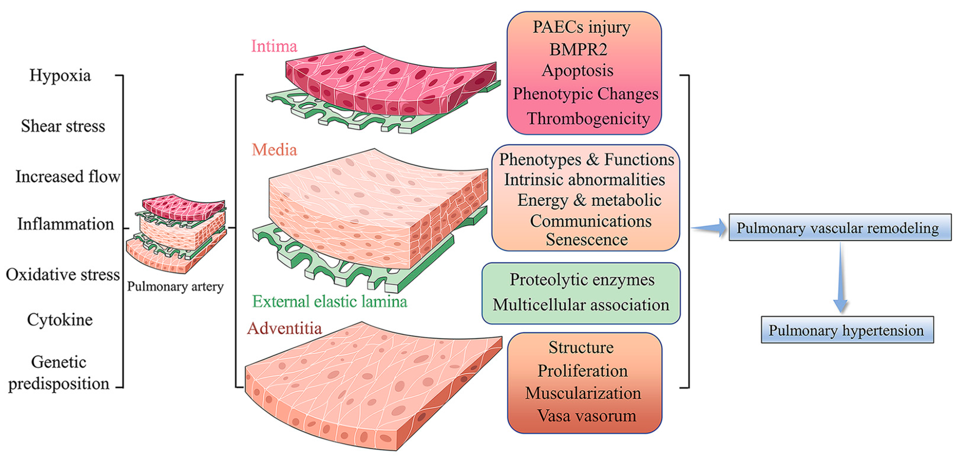 Jpm 13 00366 g001 Jpm 13 00366 g001