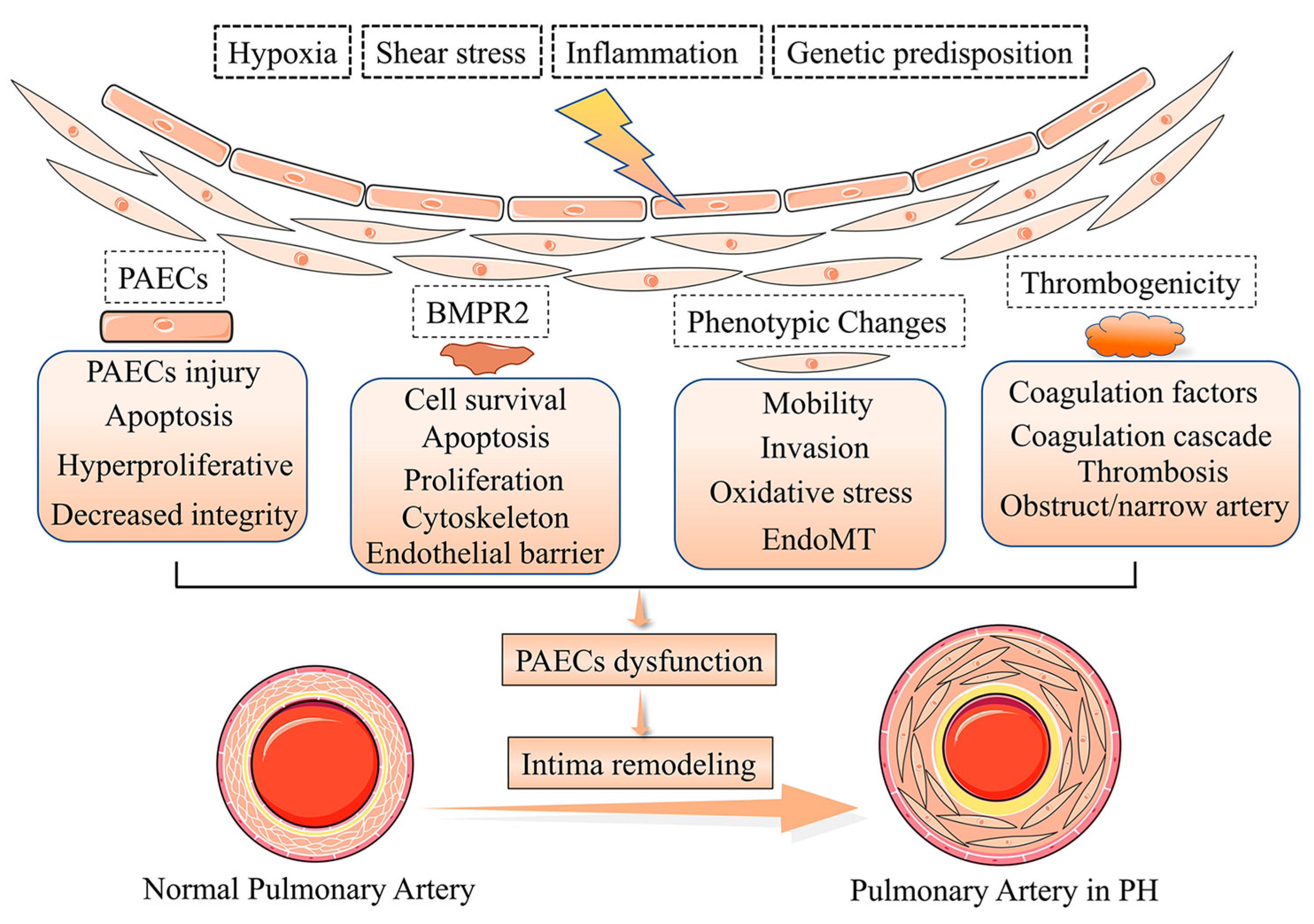 Jpm 13 00366 g002 Jpm 13 00366 g002