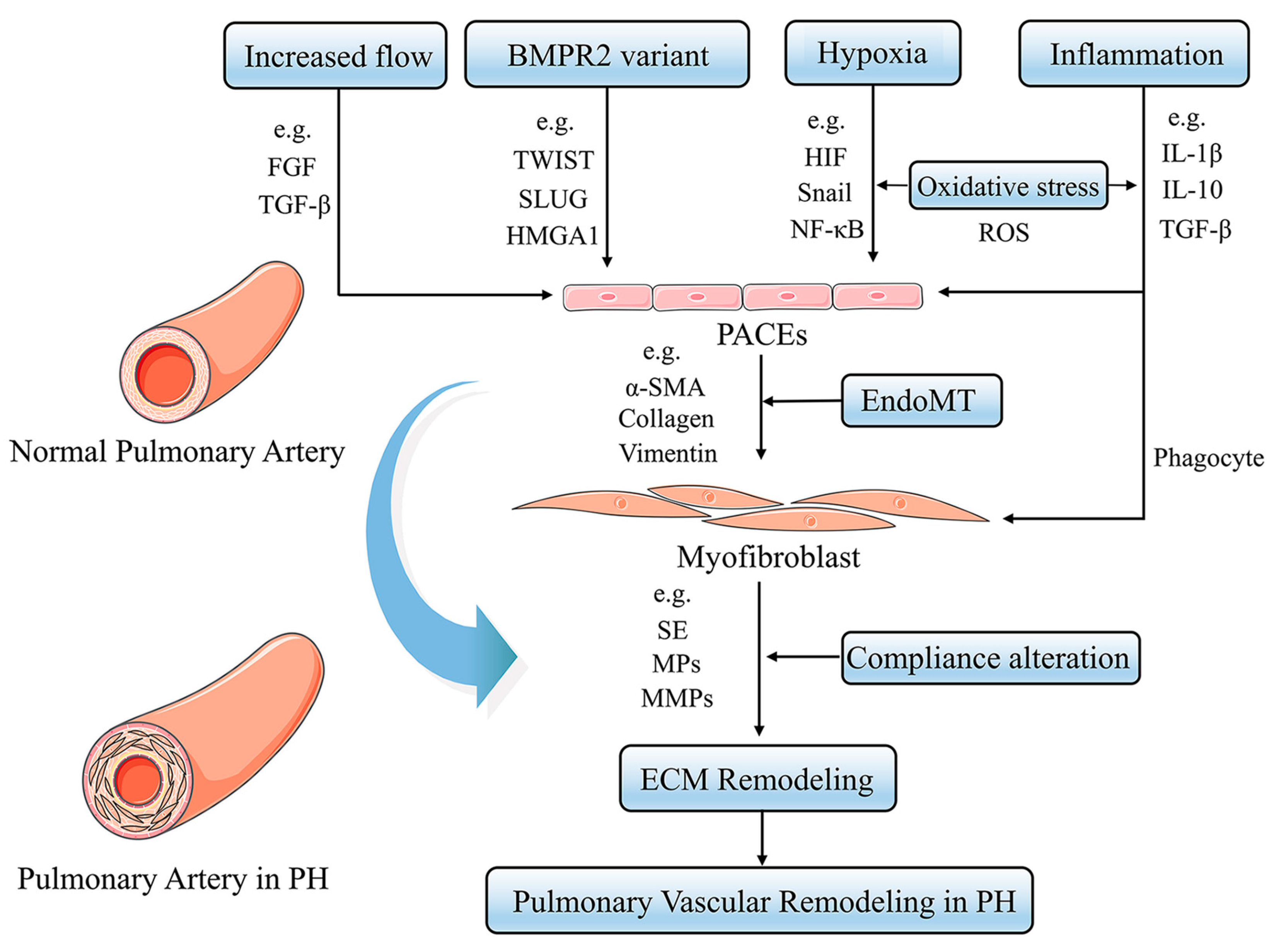 Jpm 13 00366 g005 Jpm 13 00366 g005