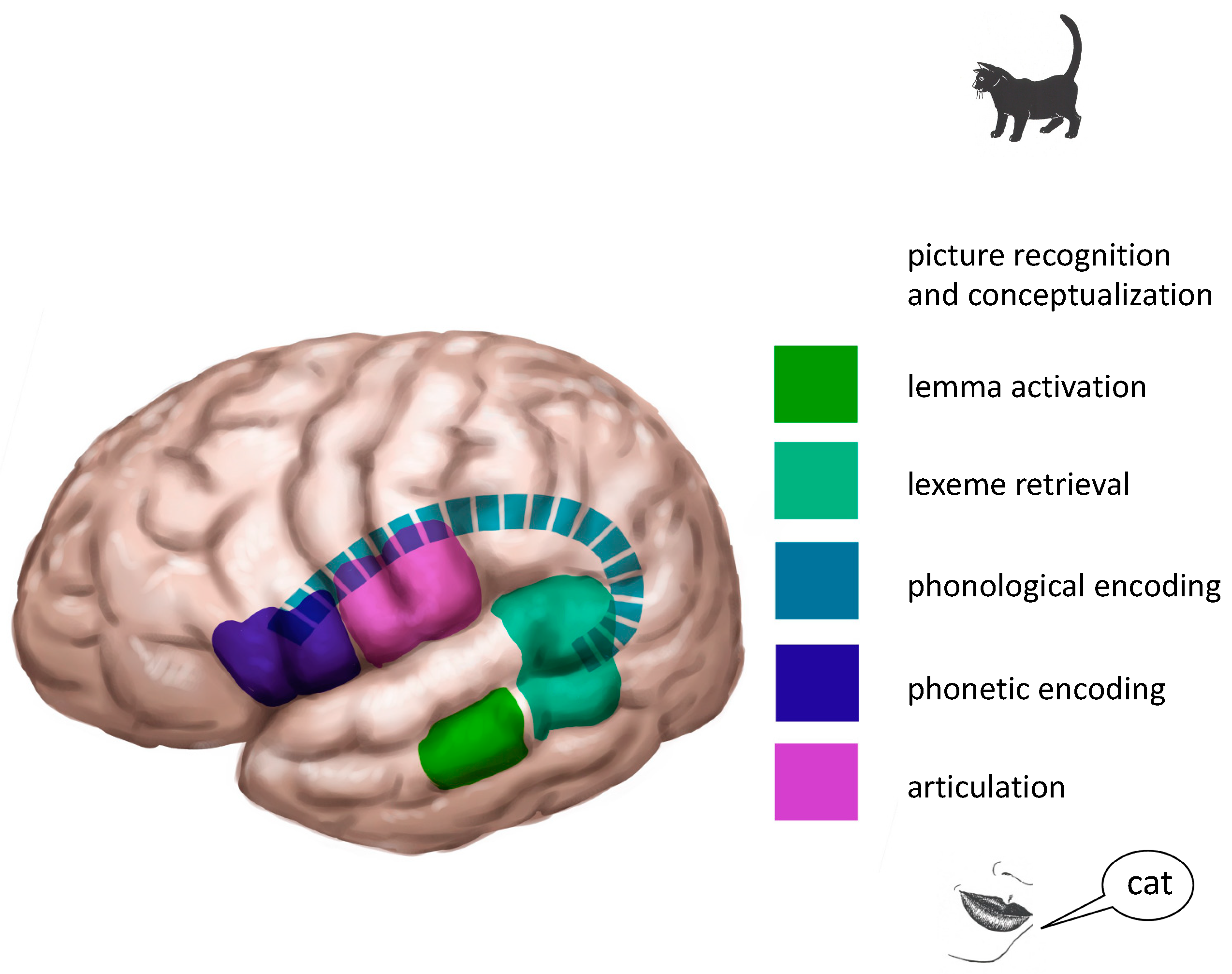 Jpm 13 00376 g002 Jpm 13 00376 g002