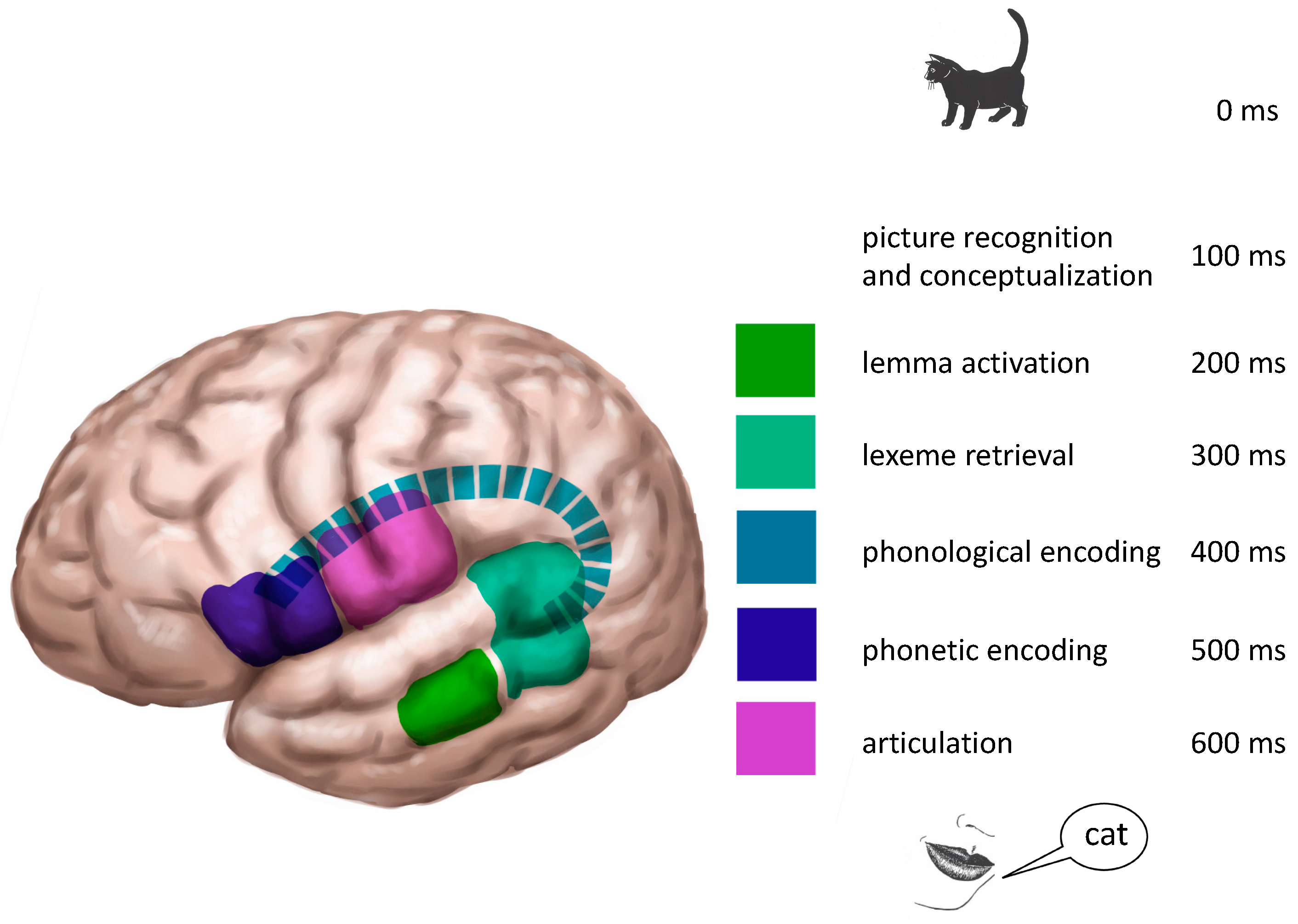 Jpm 13 00376 g003 Jpm 13 00376 g003