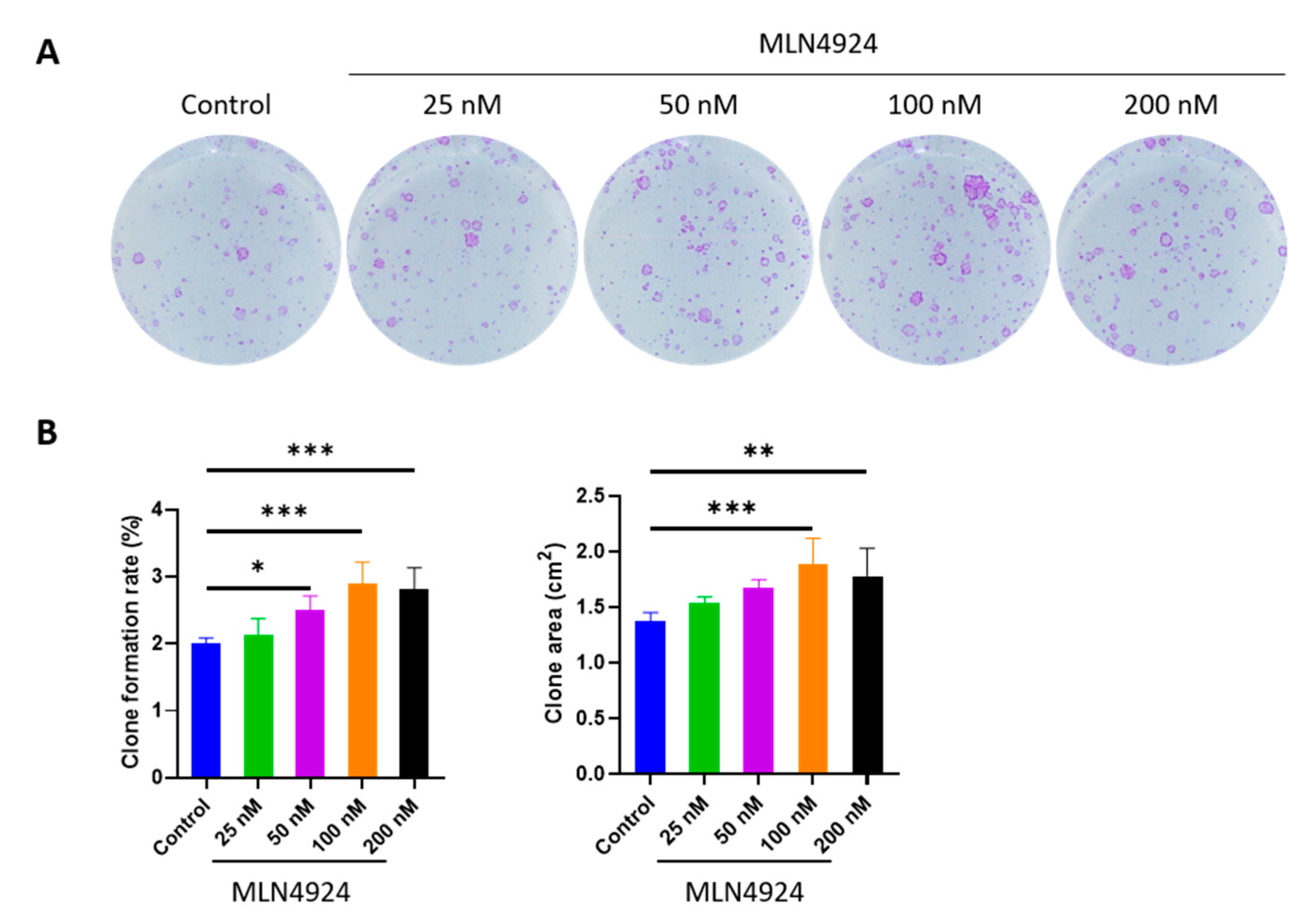 Jpm 13 00379 g001 Jpm 13 00379 g001