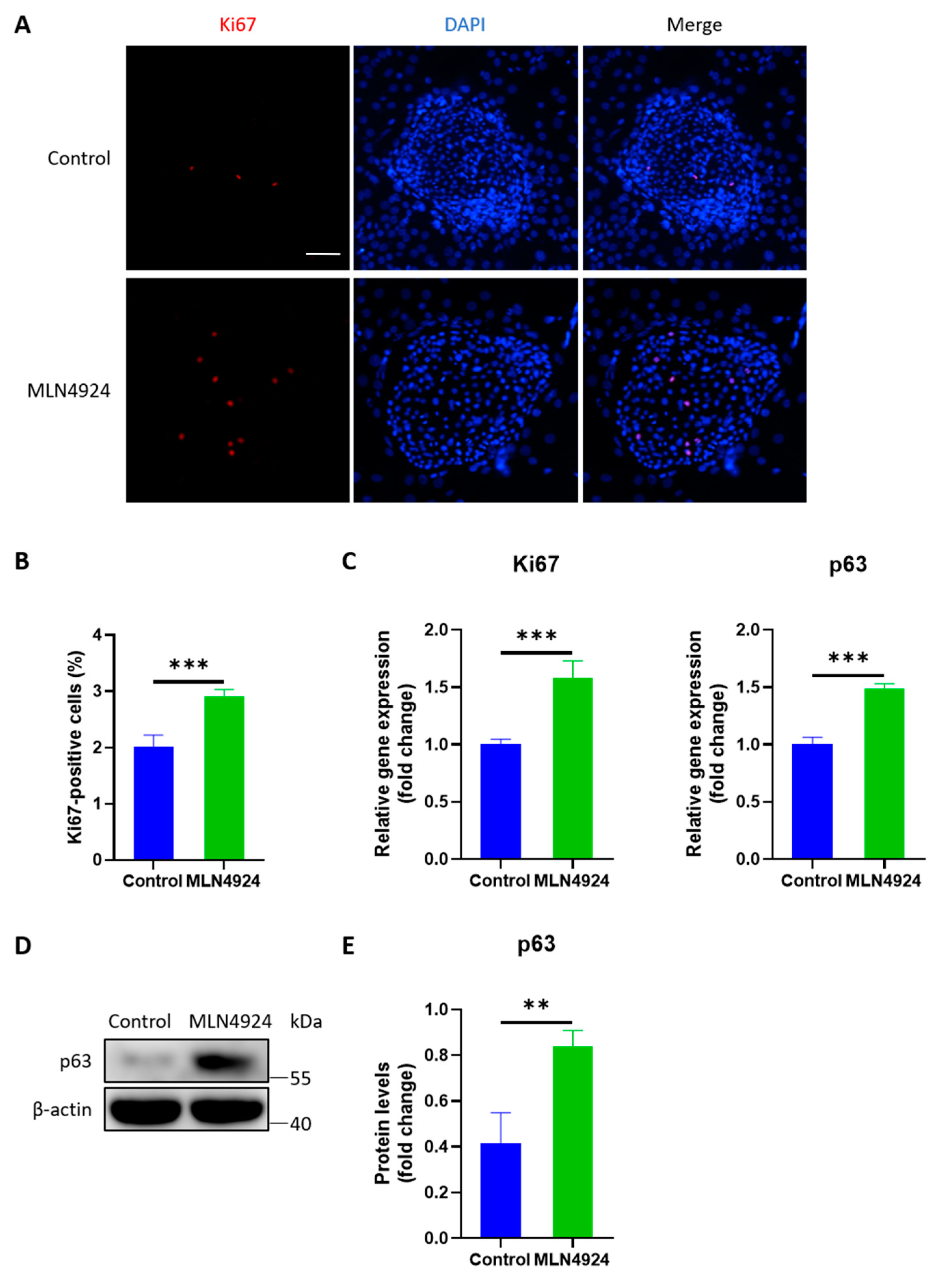 Jpm 13 00379 g003 Jpm 13 00379 g003