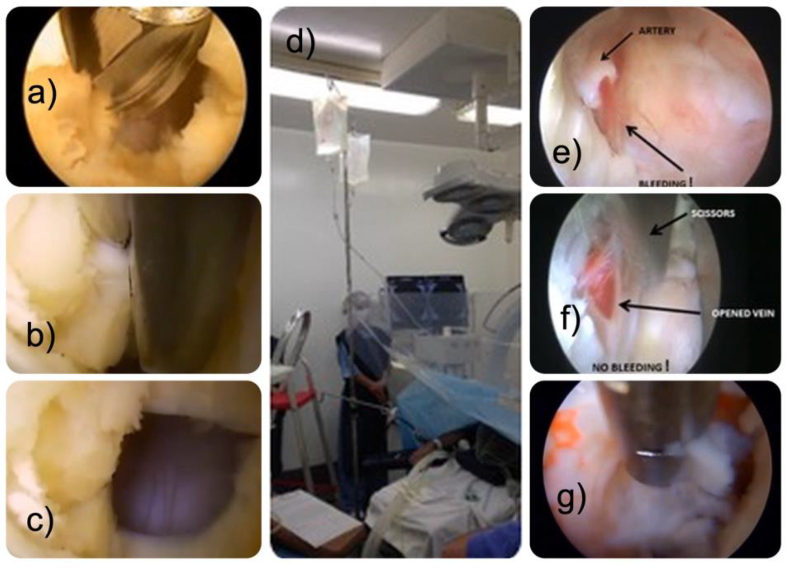 Jpm 13 00381 g001 Jpm 13 00381 g001