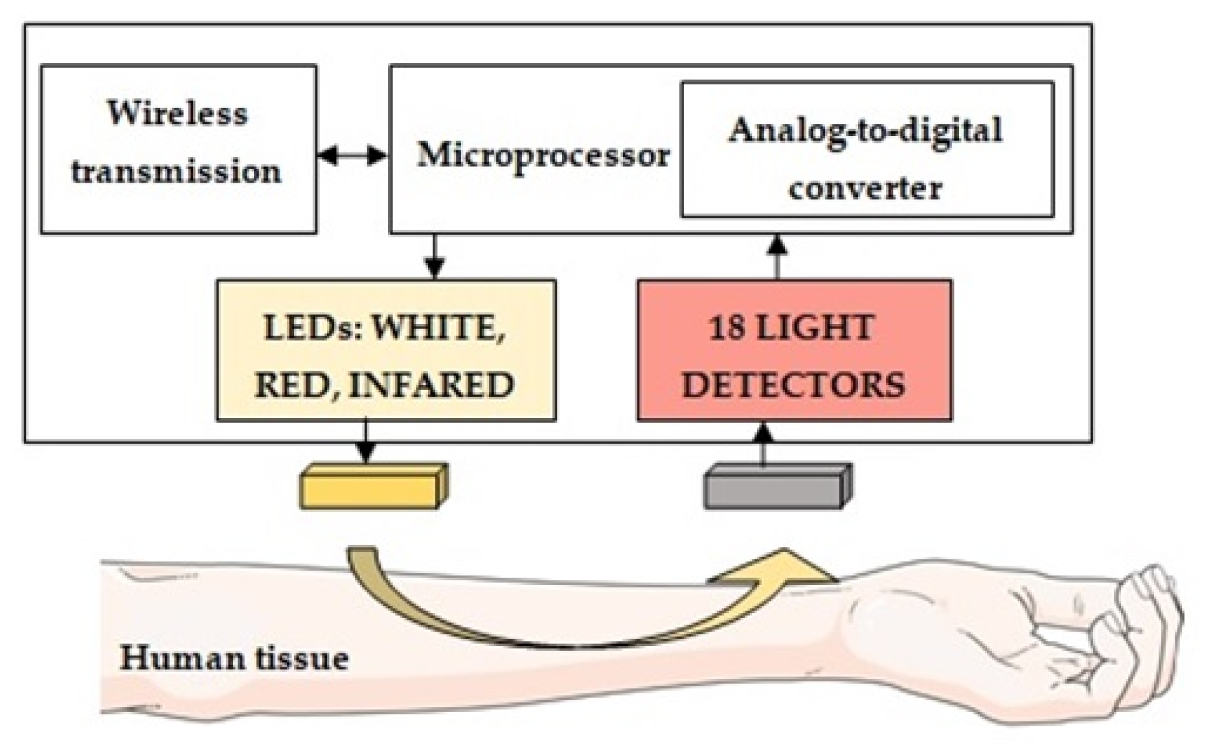 Jpm 13 00443 g005 Jpm 13 00443 g005