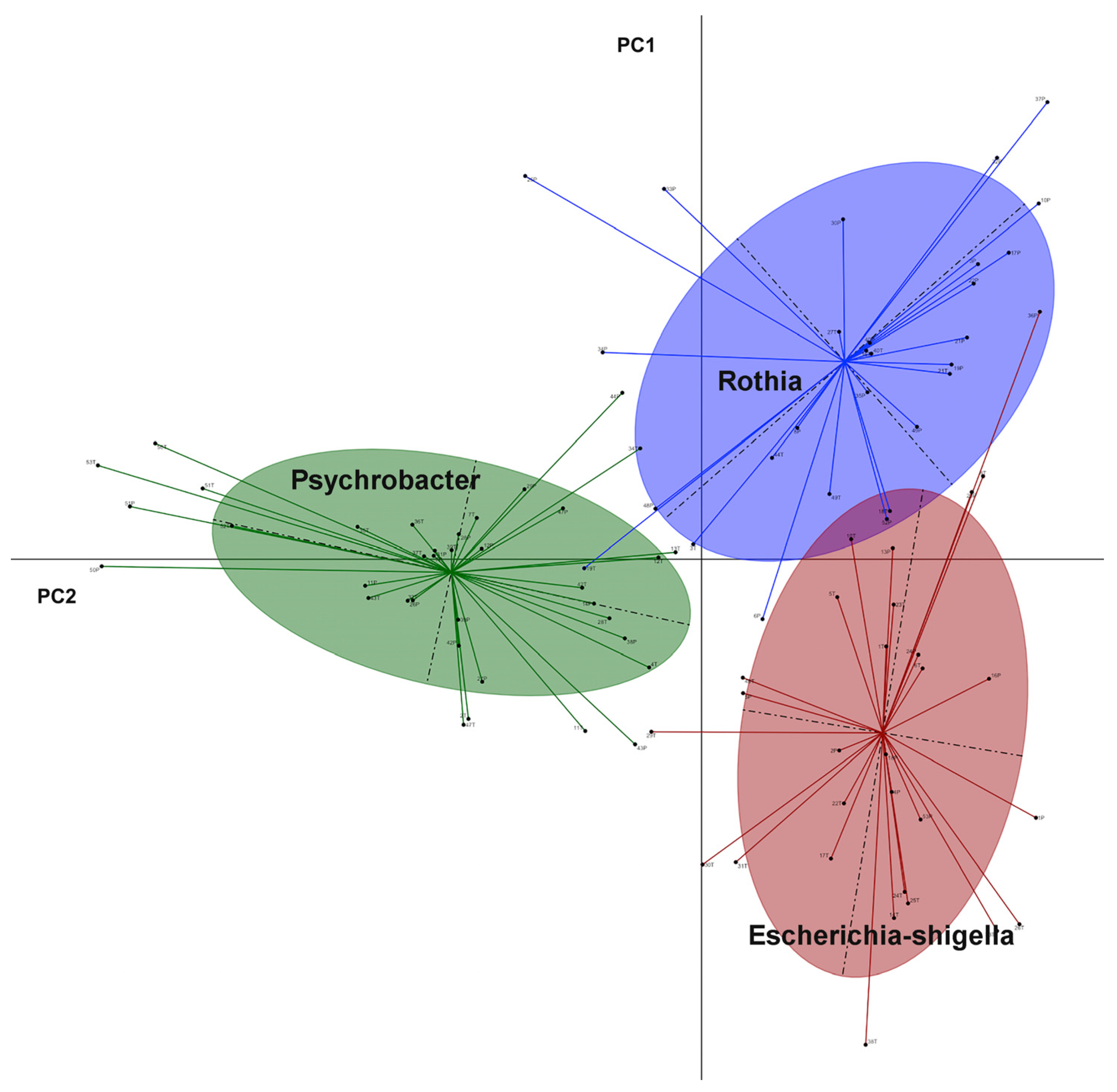 Jpm 13 00450 g006 Jpm 13 00450 g006