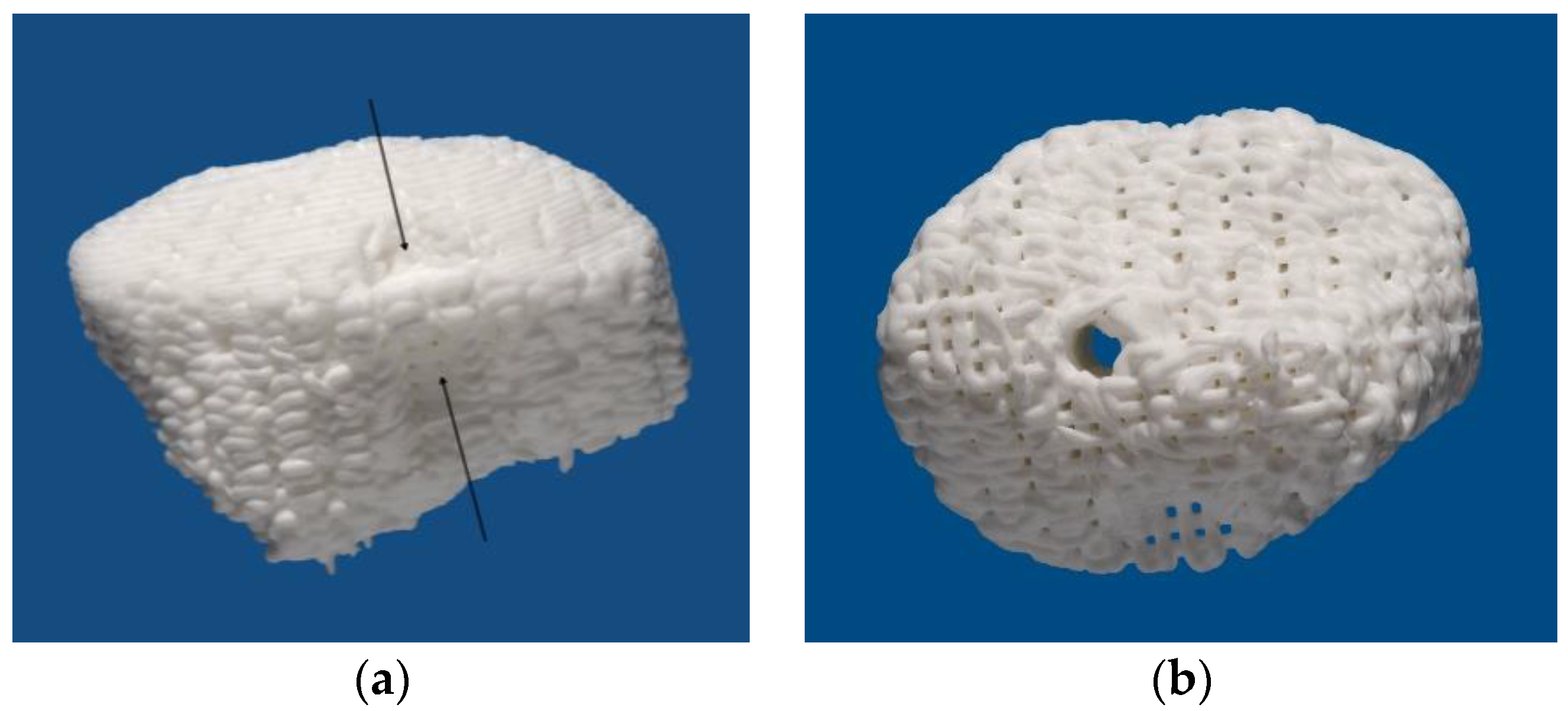 Jpm 13 00464 g002 Jpm 13 00464 g002