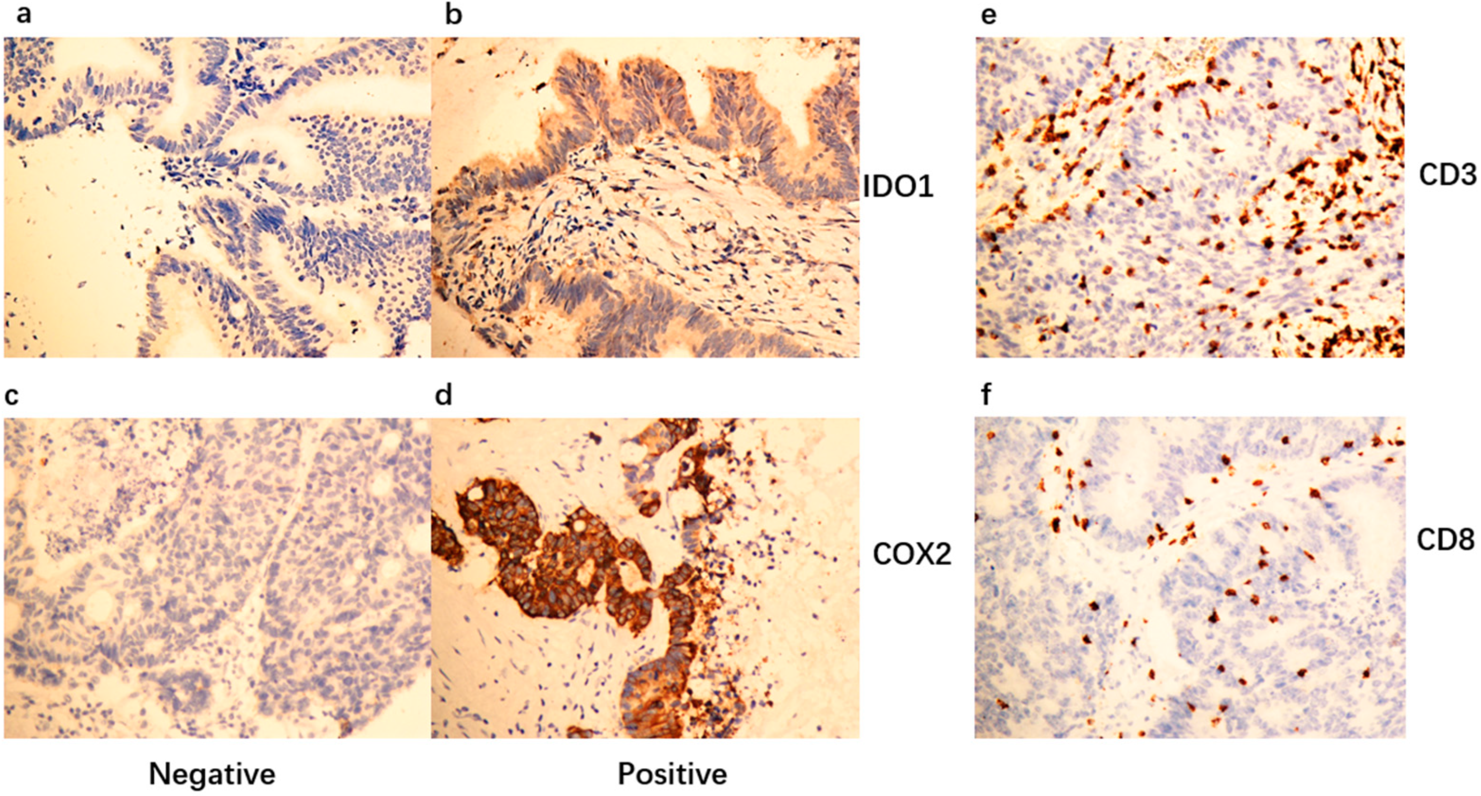 Jpm 13 00496 g001 Jpm 13 00496 g001