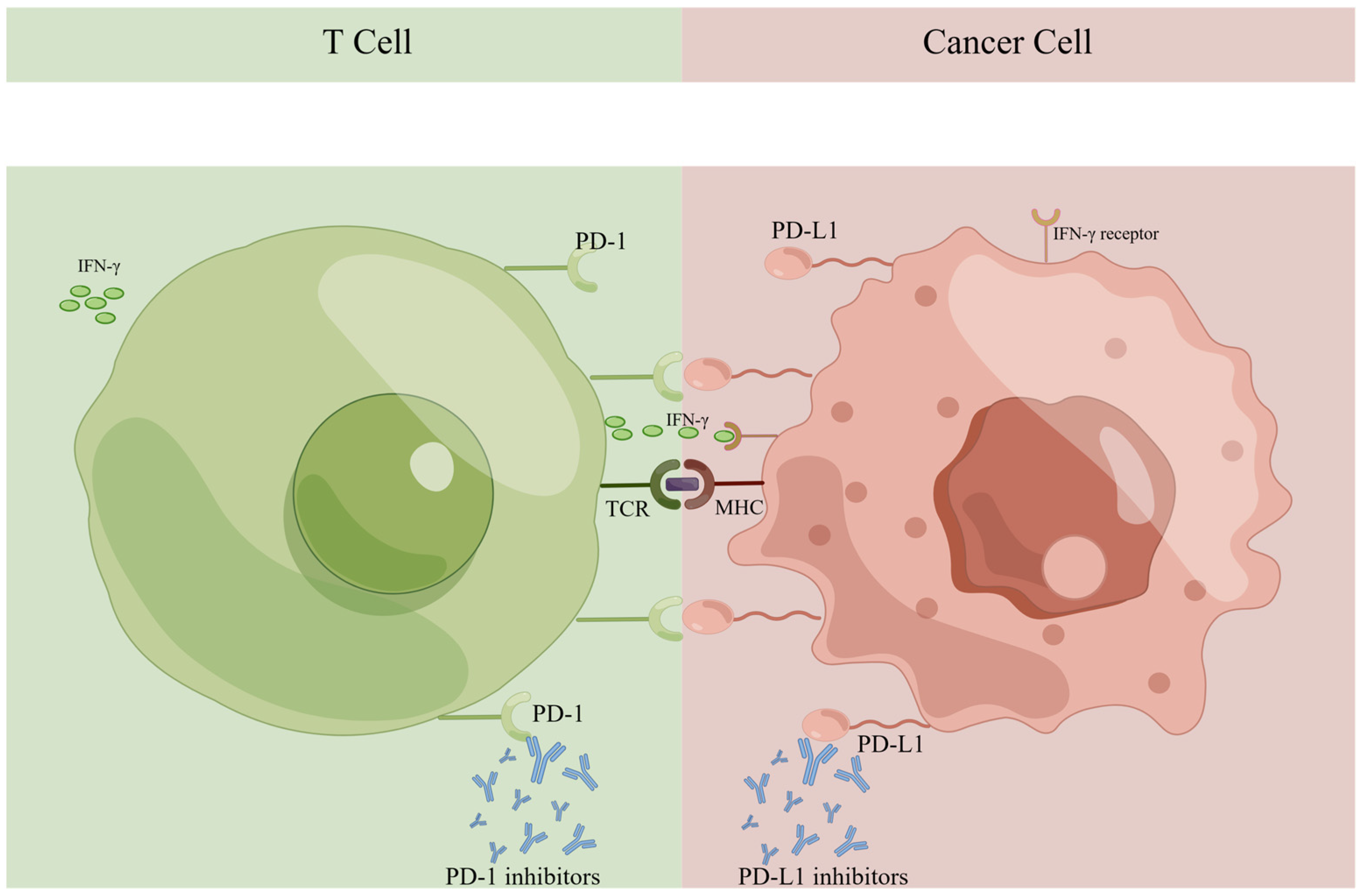 Jpm 13 00526 g001 Jpm 13 00526 g001