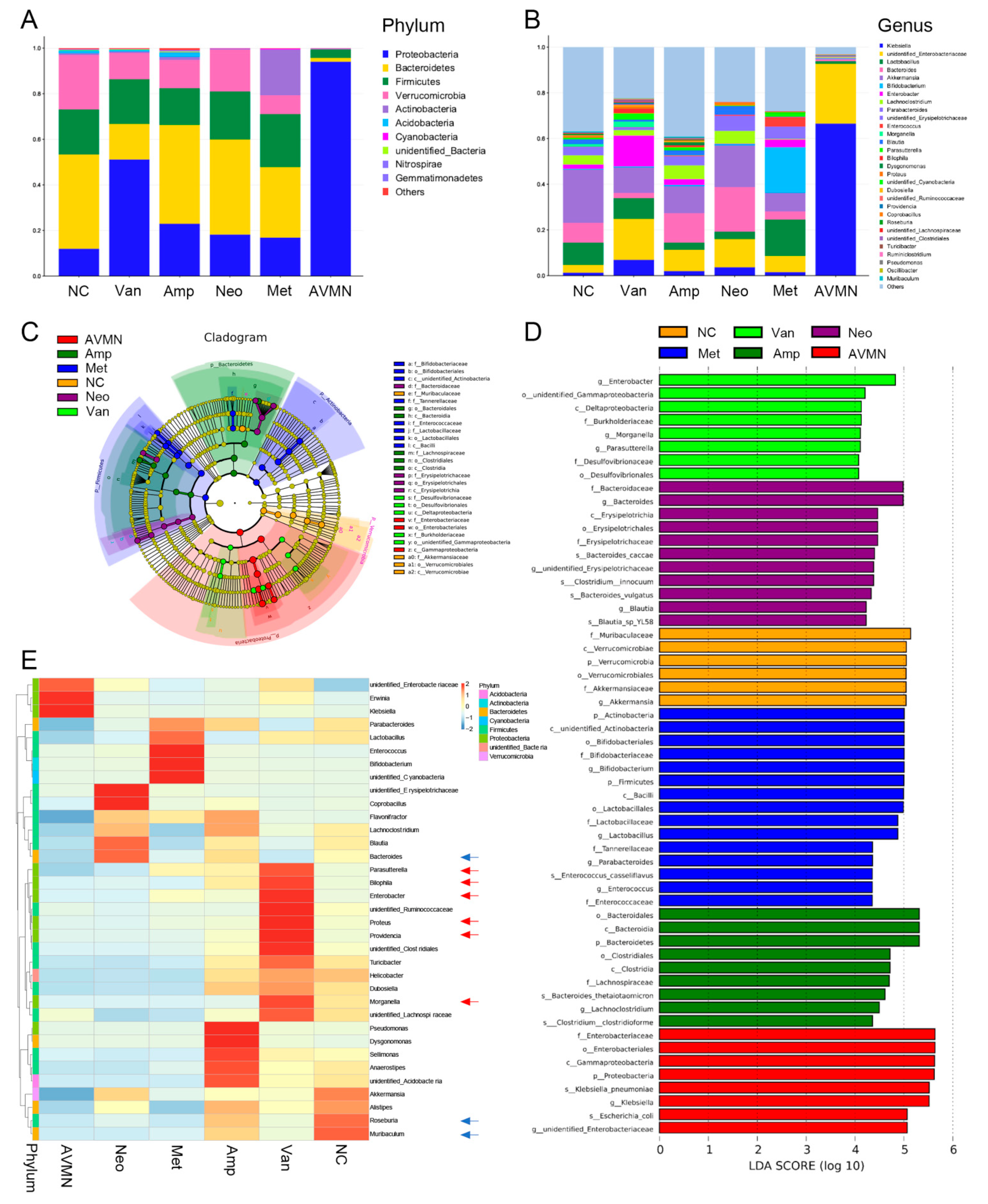 Jpm 13 00537 g003 Jpm 13 00537 g003