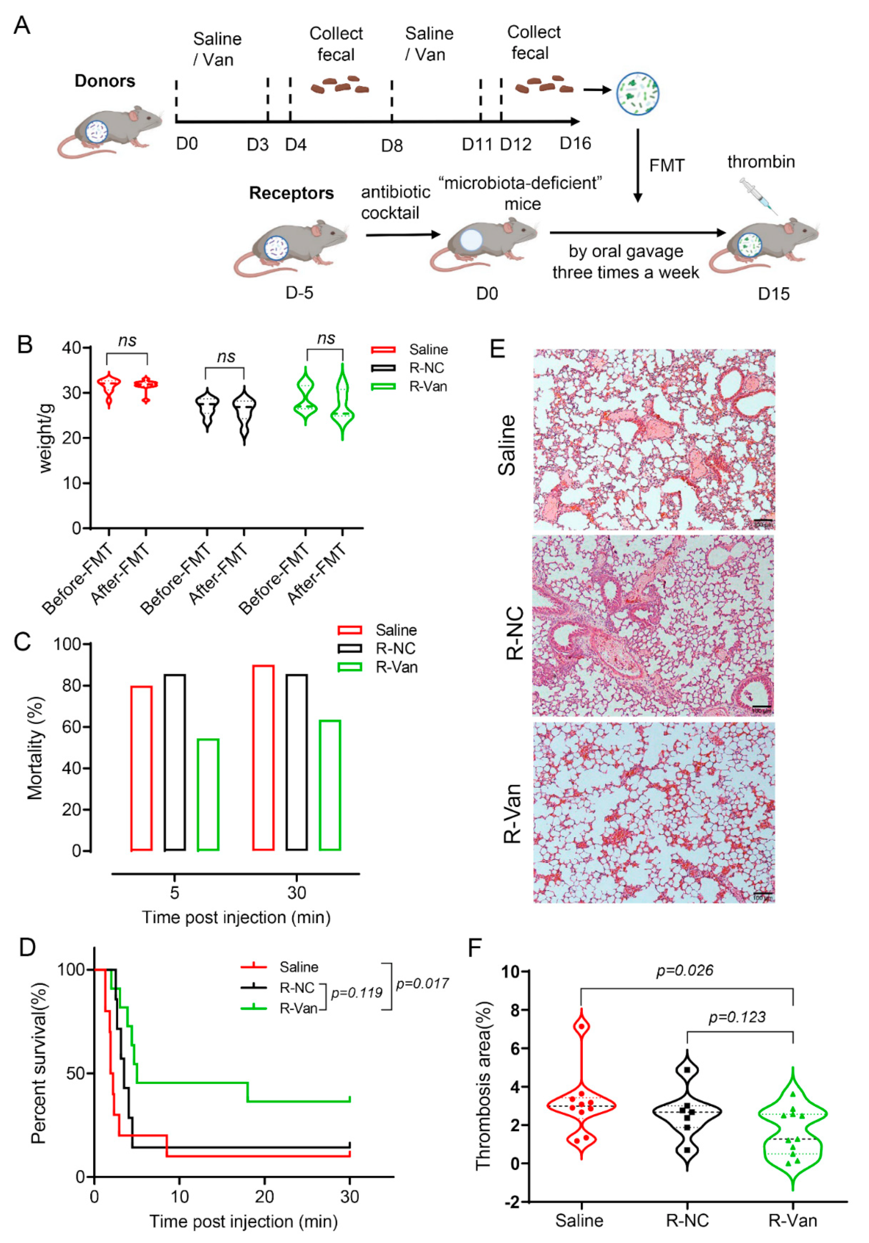 Jpm 13 00537 g005 Jpm 13 00537 g005