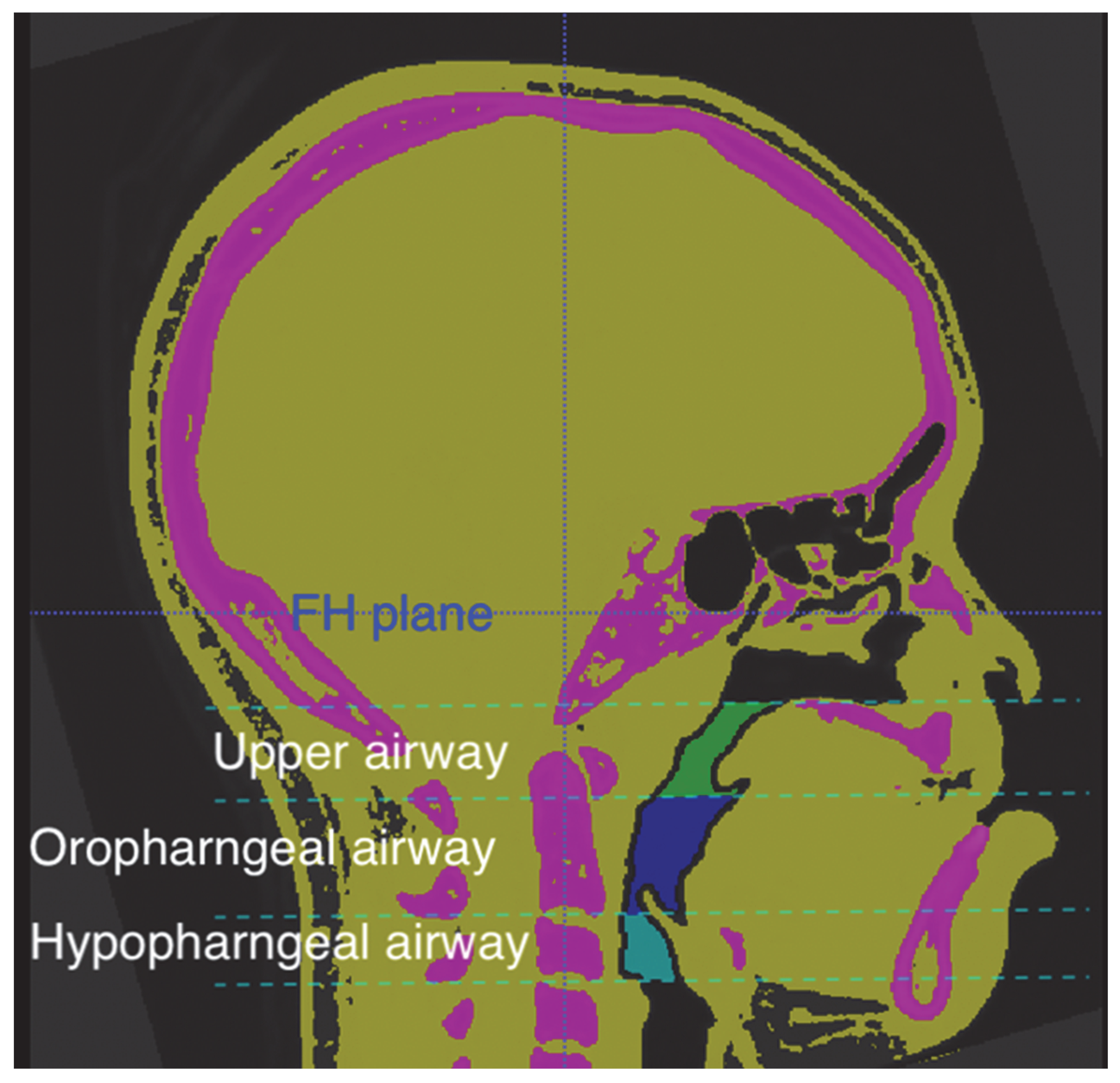 Jpm 13 00543 g002 Jpm 13 00543 g002