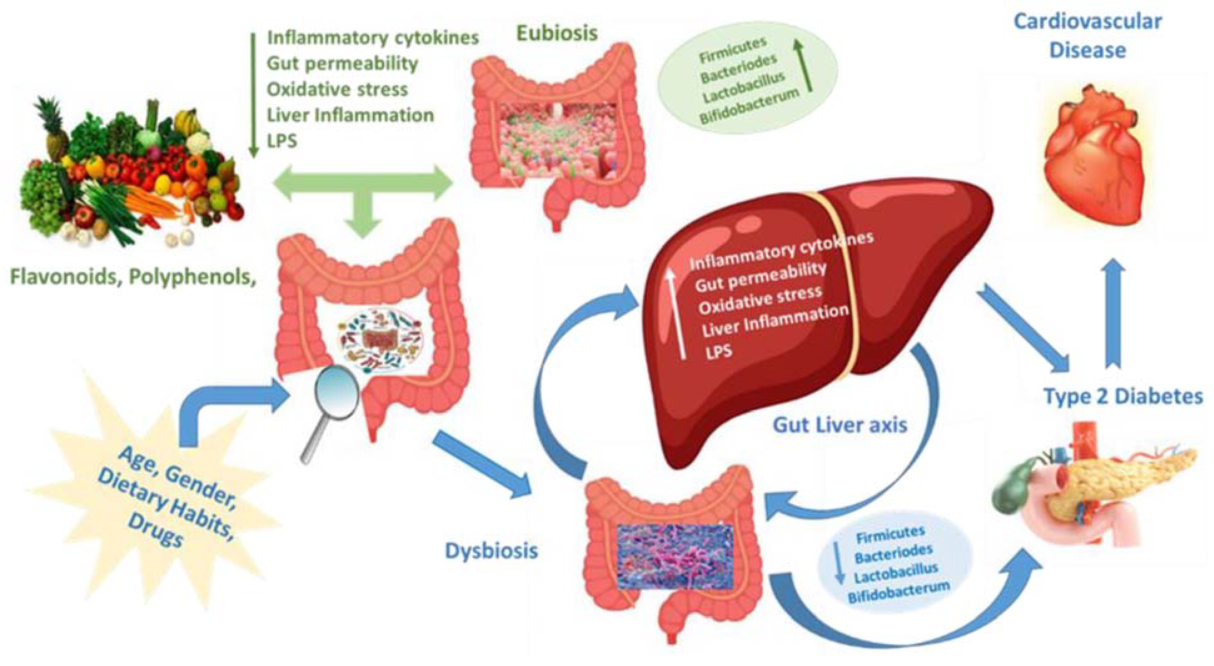 Jpm 13 00558 g001 Jpm 13 00558 g001