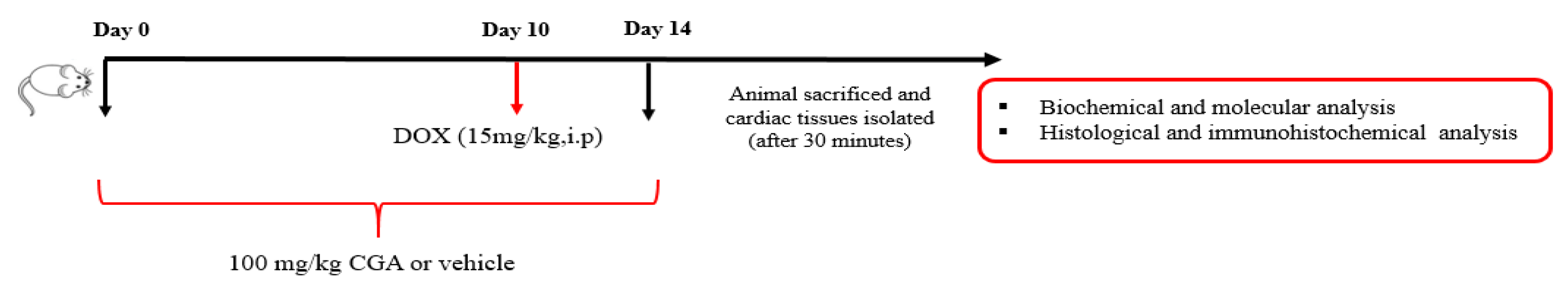Jpm 13 00649 g001 Jpm 13 00649 g001