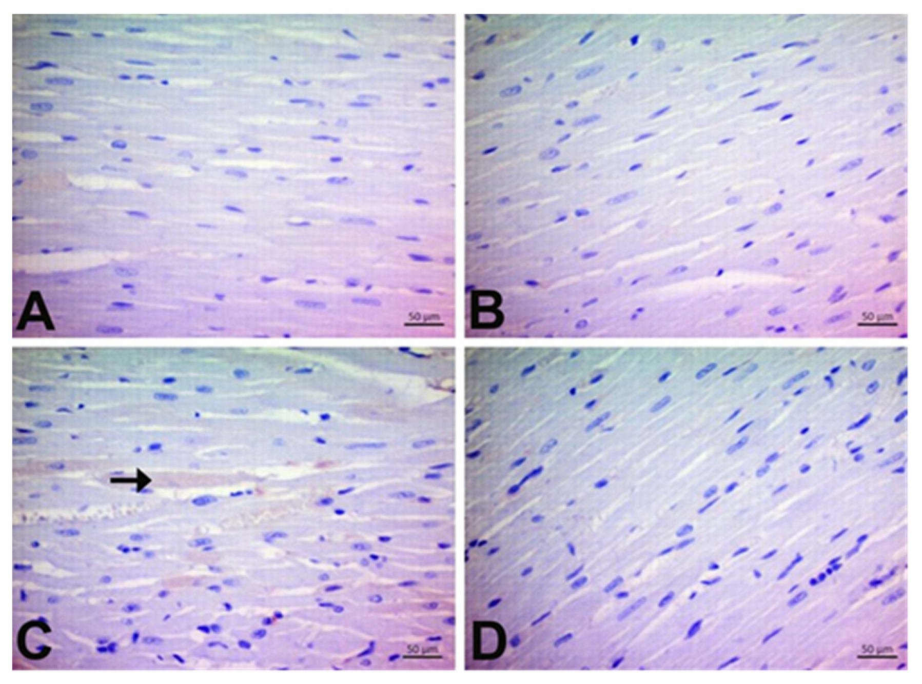 Jpm 13 00649 g008 Jpm 13 00649 g008