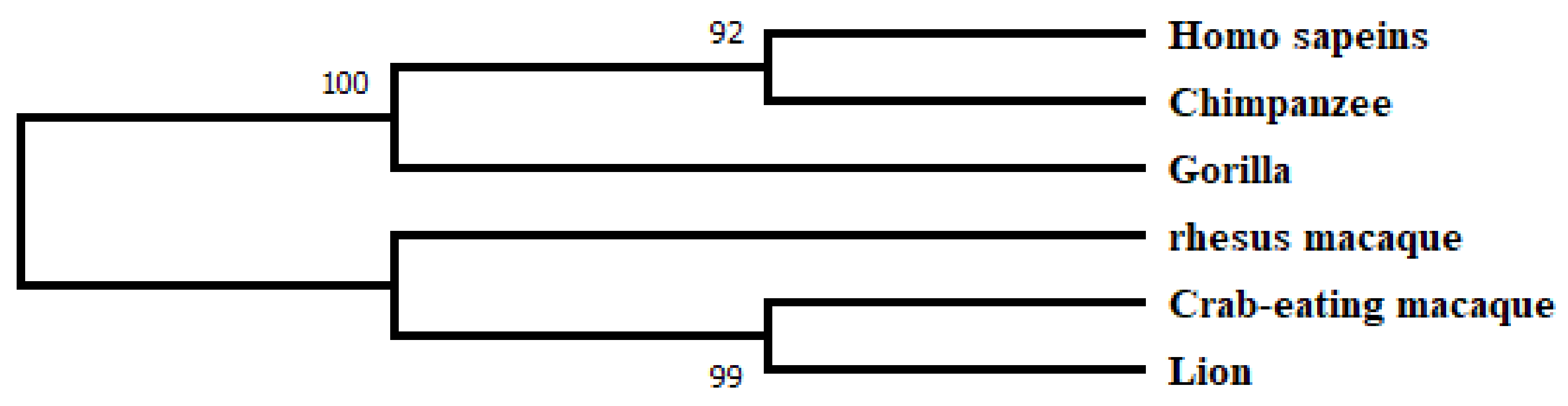 Jpm 13 00660 g002 Jpm 13 00660 g002