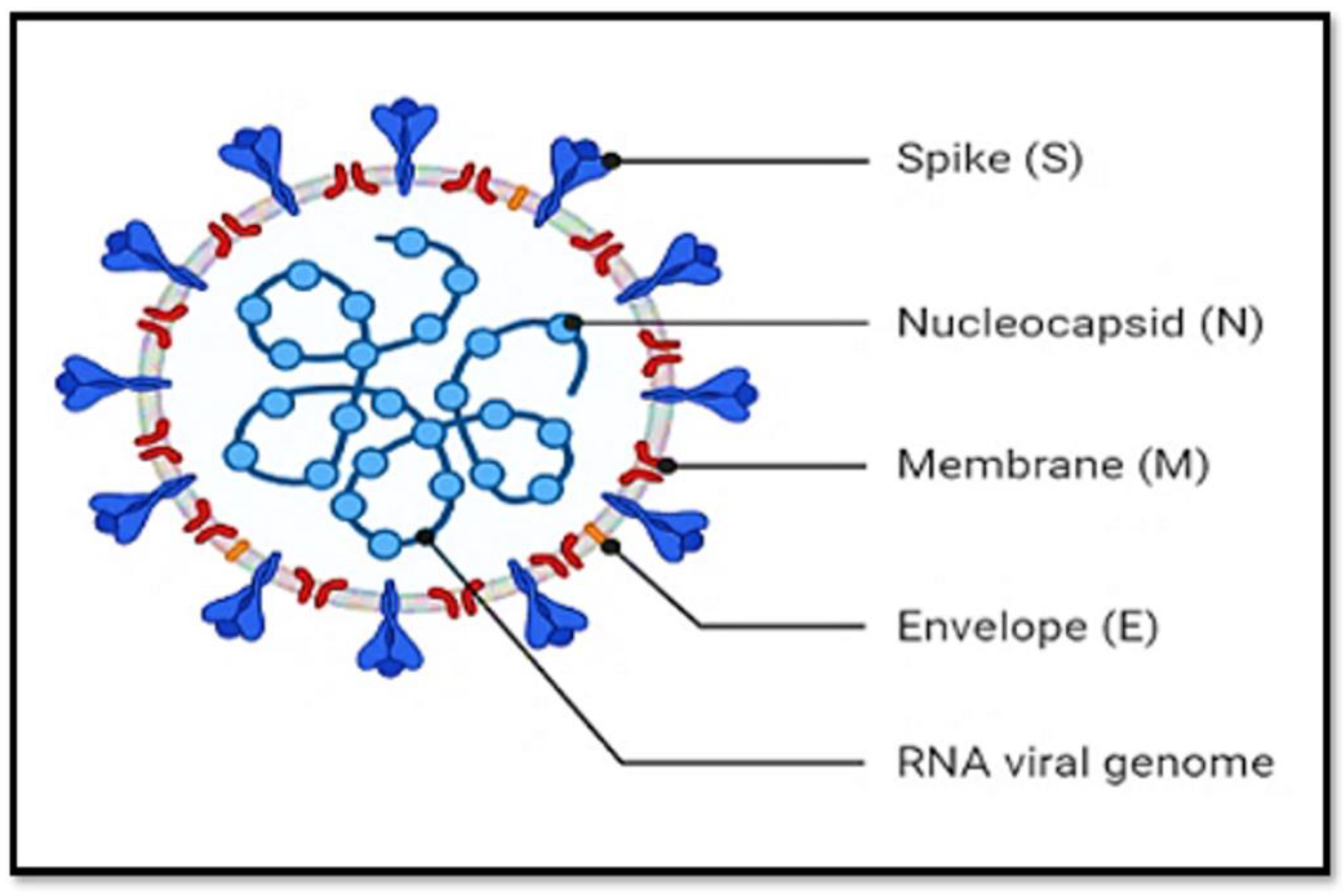 Jpm 13 00664 g001 Jpm 13 00664 g001