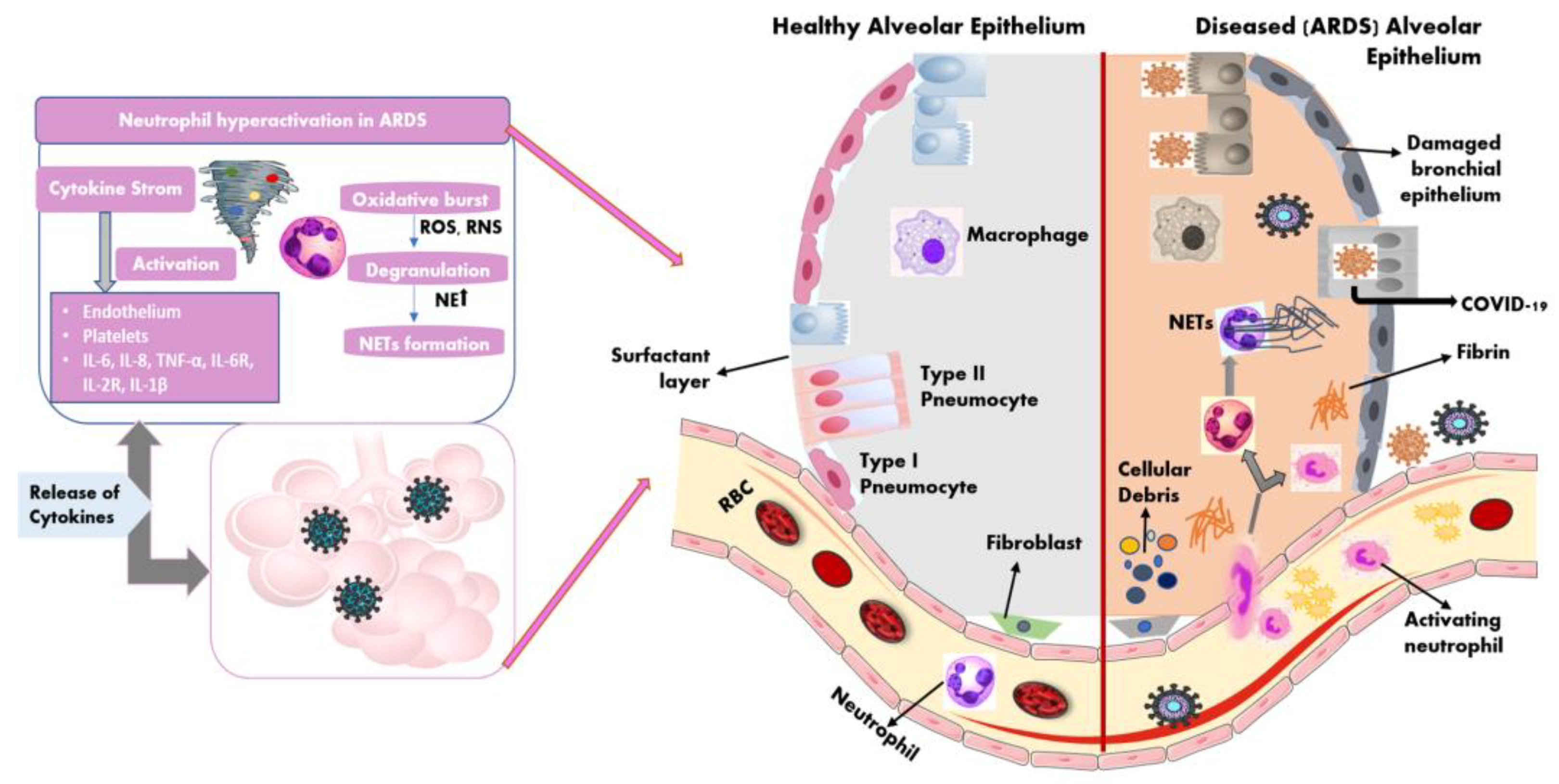 Jpm 13 00664 g003 Jpm 13 00664 g003
