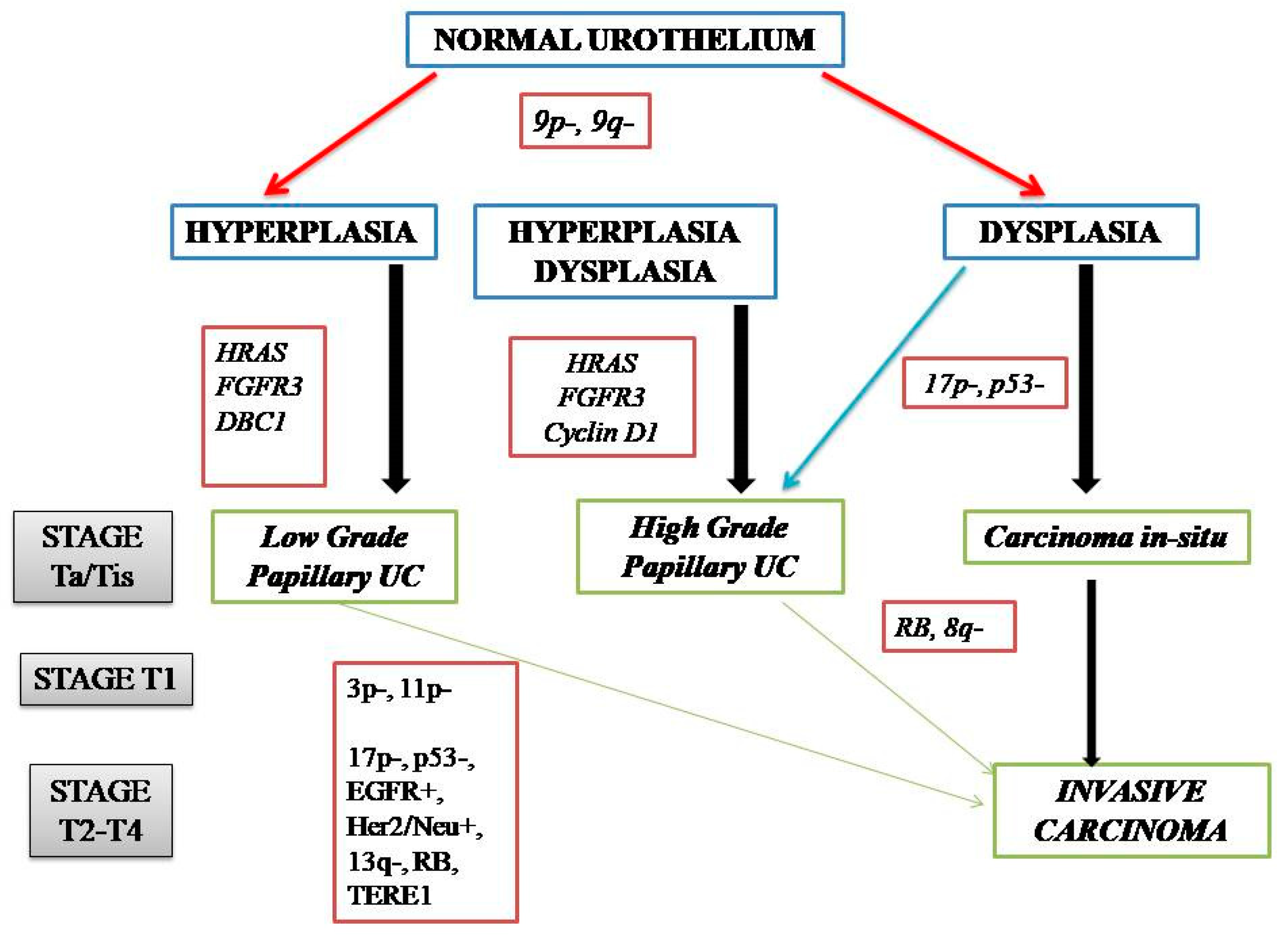 Jpm 13 00756 g002 Jpm 13 00756 g002