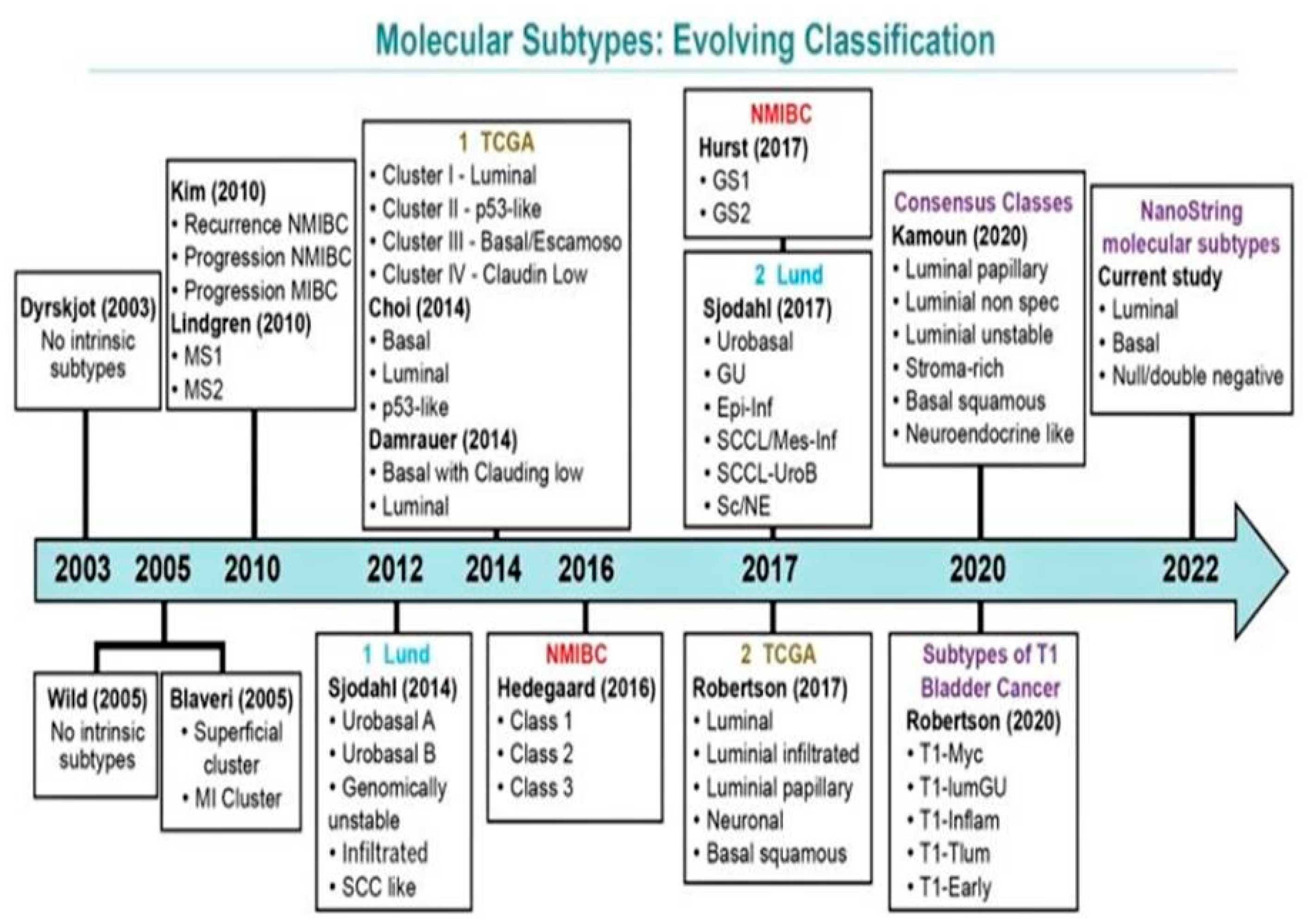 Jpm 13 00756 g003 Jpm 13 00756 g003