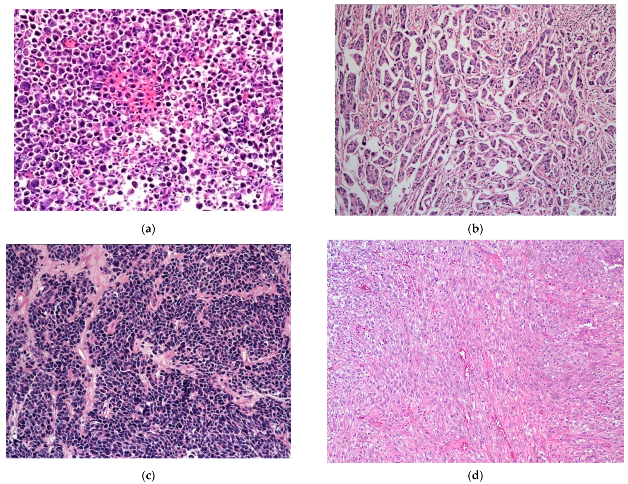 Jpm 13 00756 g004a Jpm 13 00756 g004a