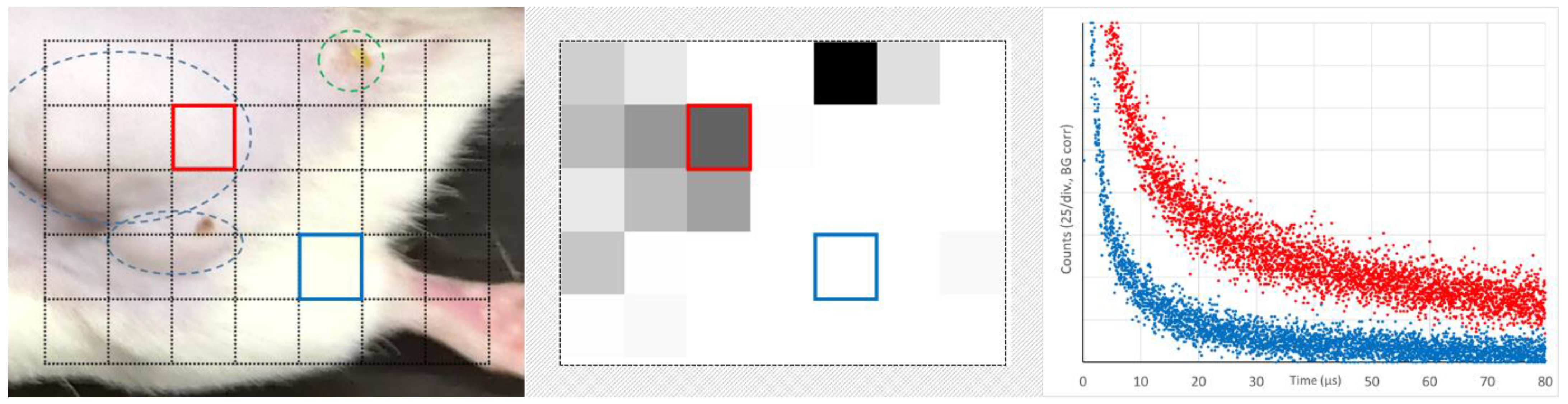 Jpm 13 00781 g007 Jpm 13 00781 g007