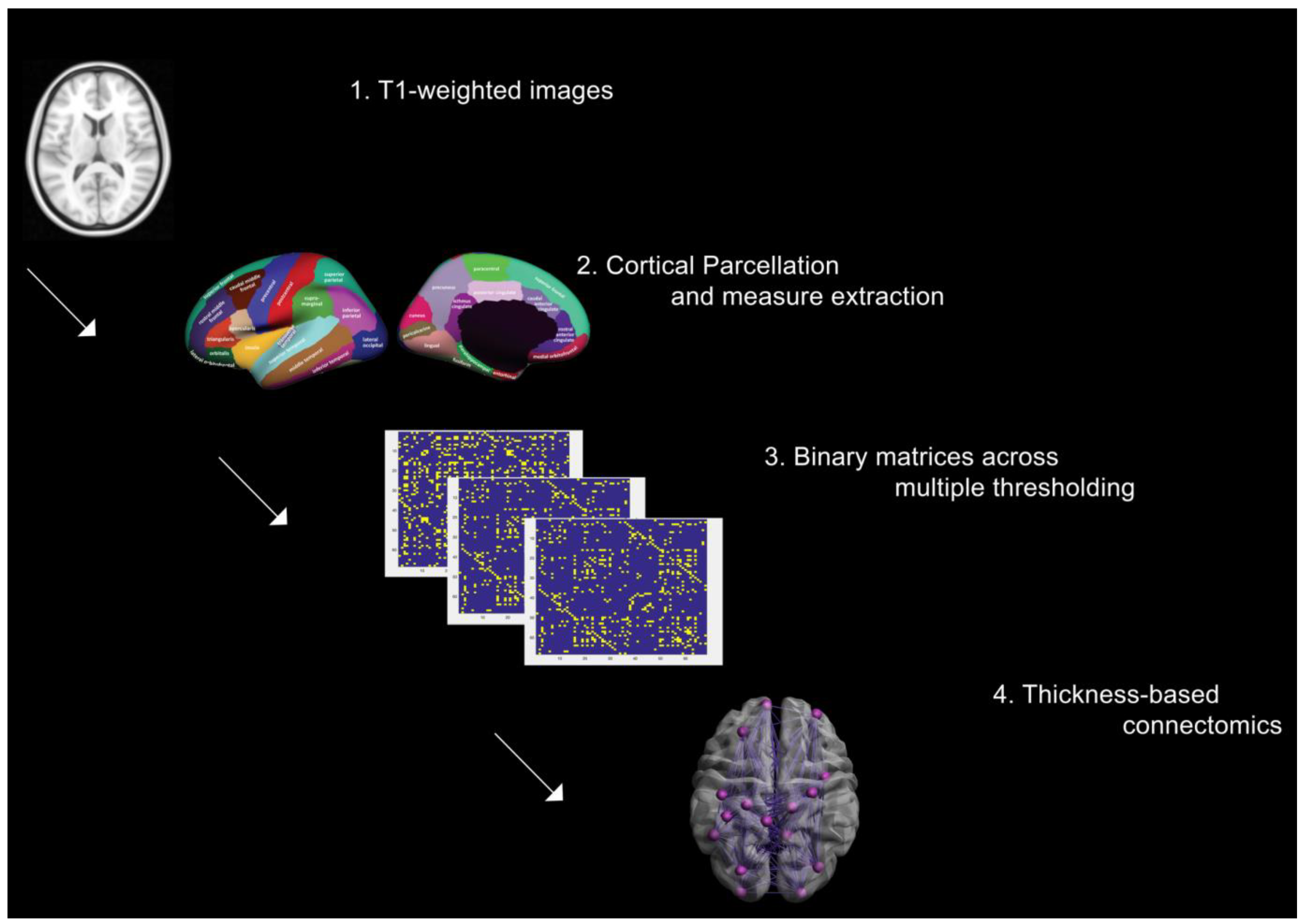 Jpm 13 00799 g001 Jpm 13 00799 g001