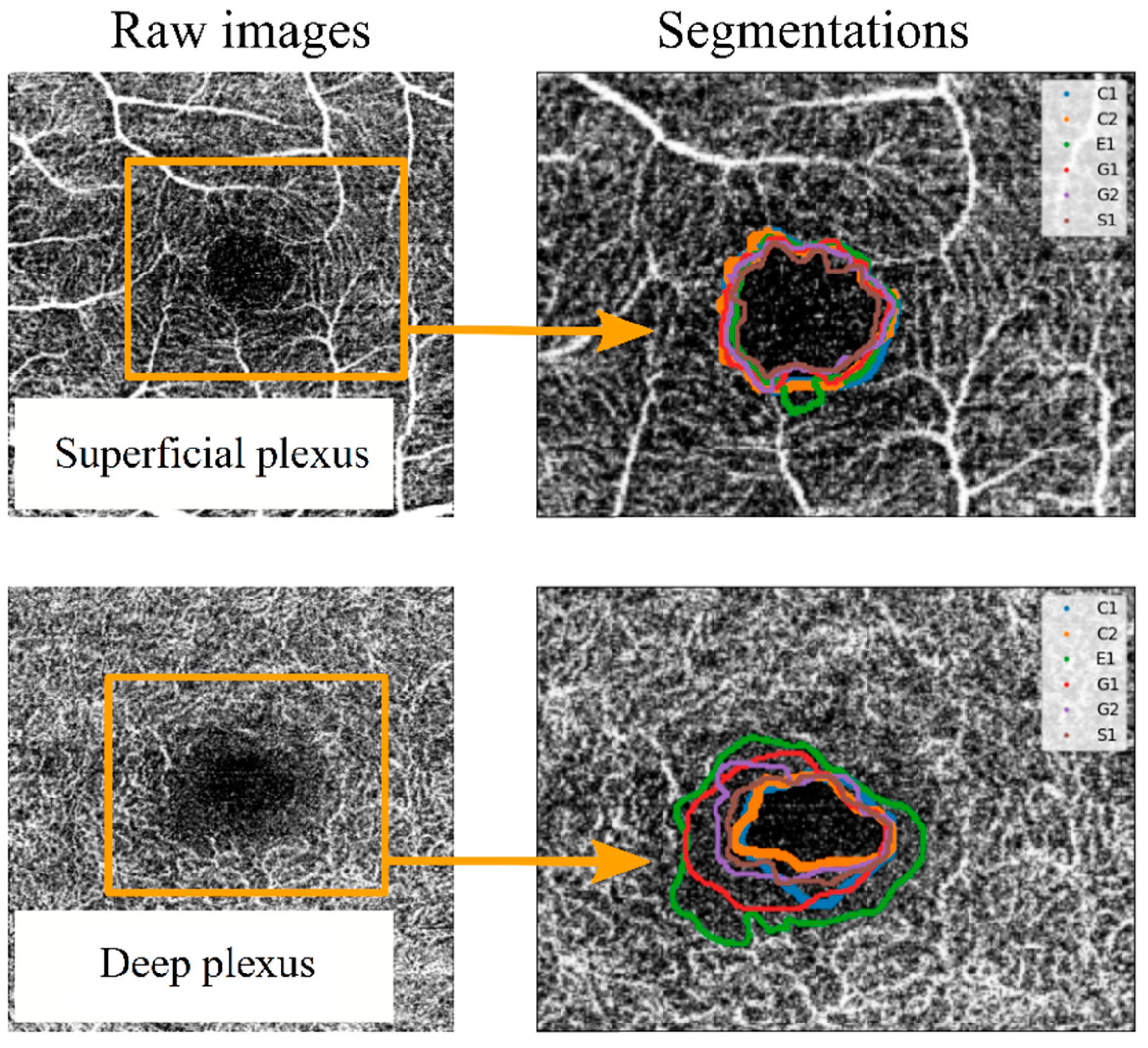 Jpm 13 00822 g003 Jpm 13 00822 g003