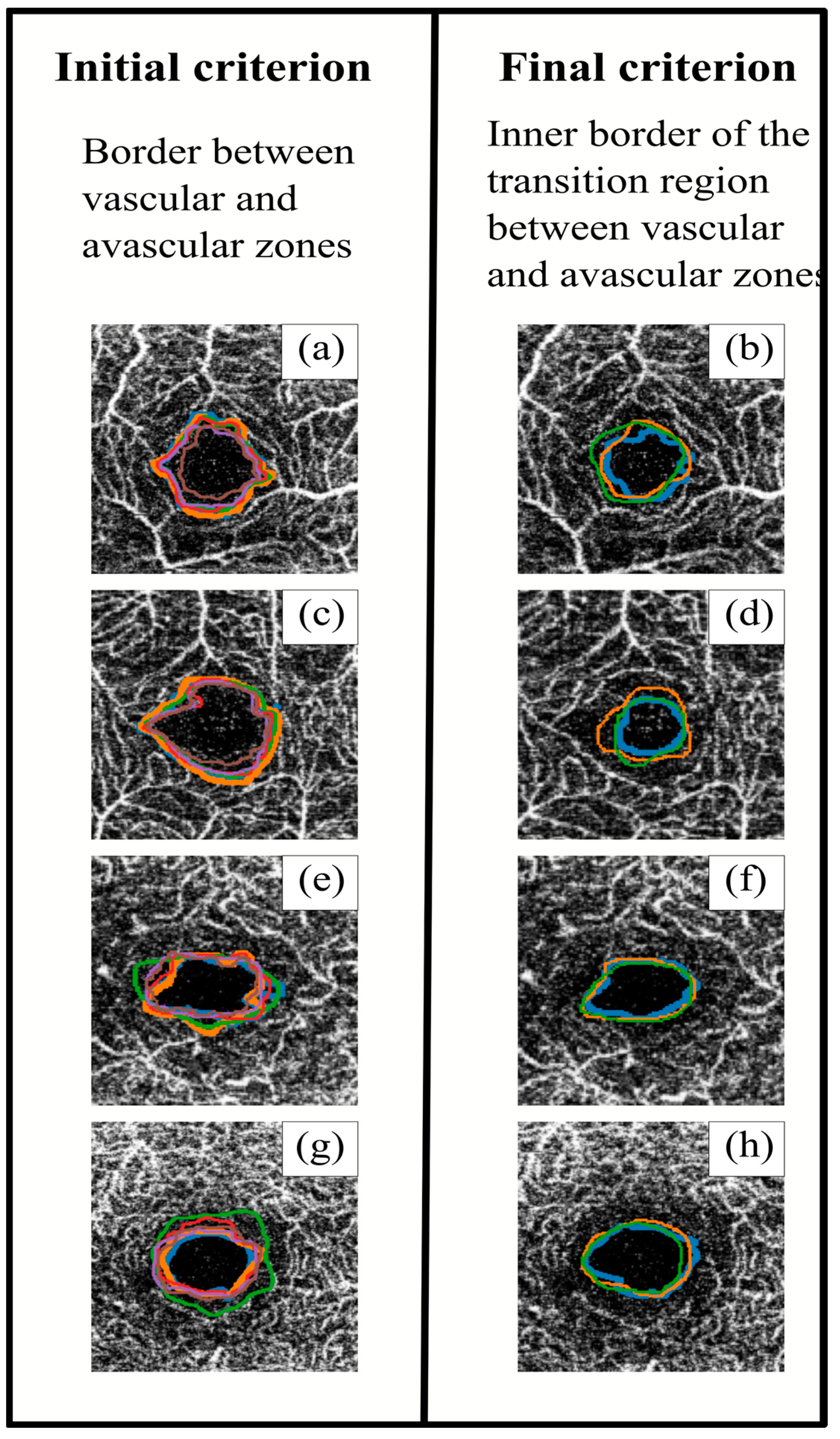Jpm 13 00822 g004 Jpm 13 00822 g004