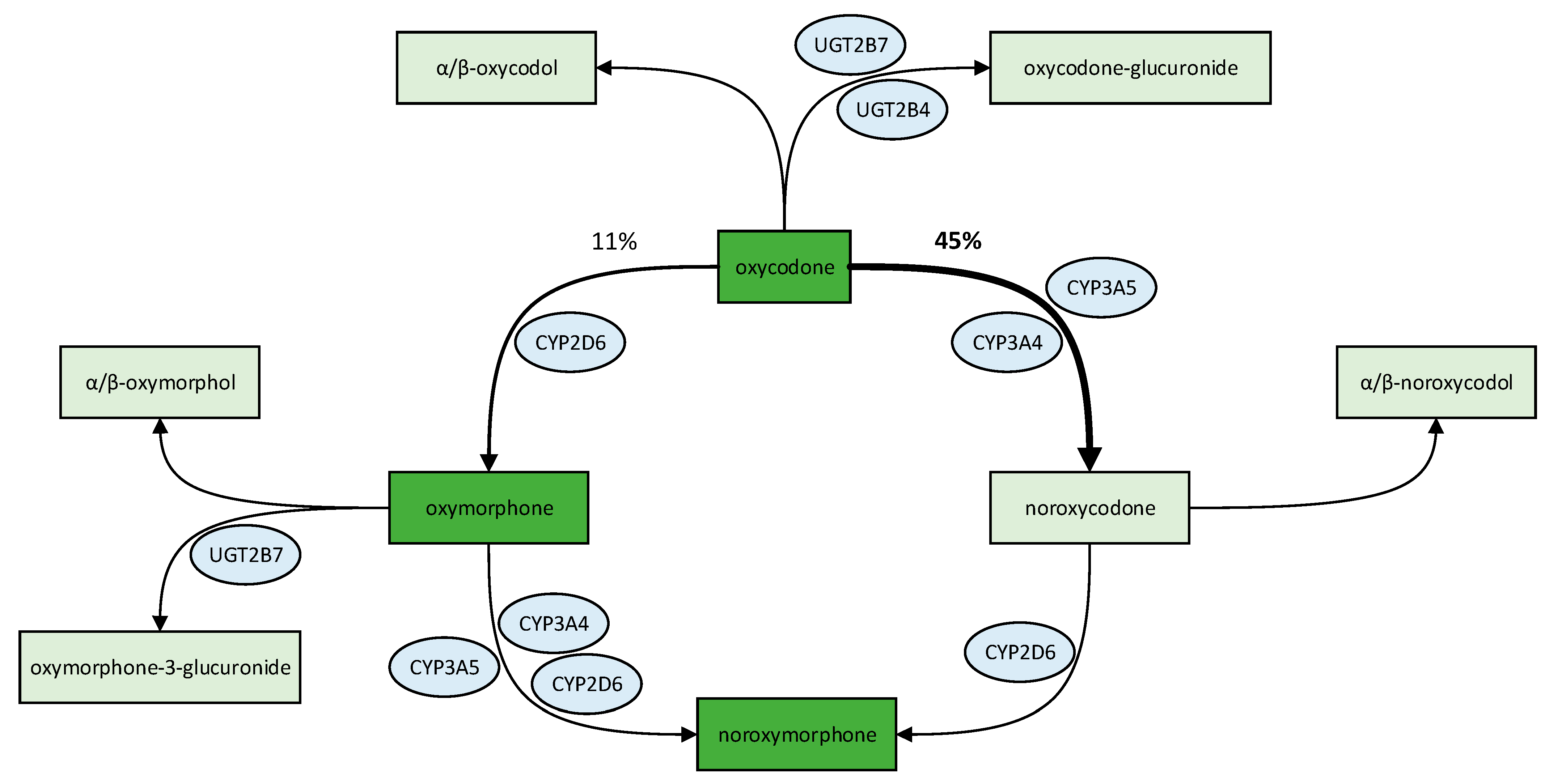 Jpm 13 00829 g001 Jpm 13 00829 g001