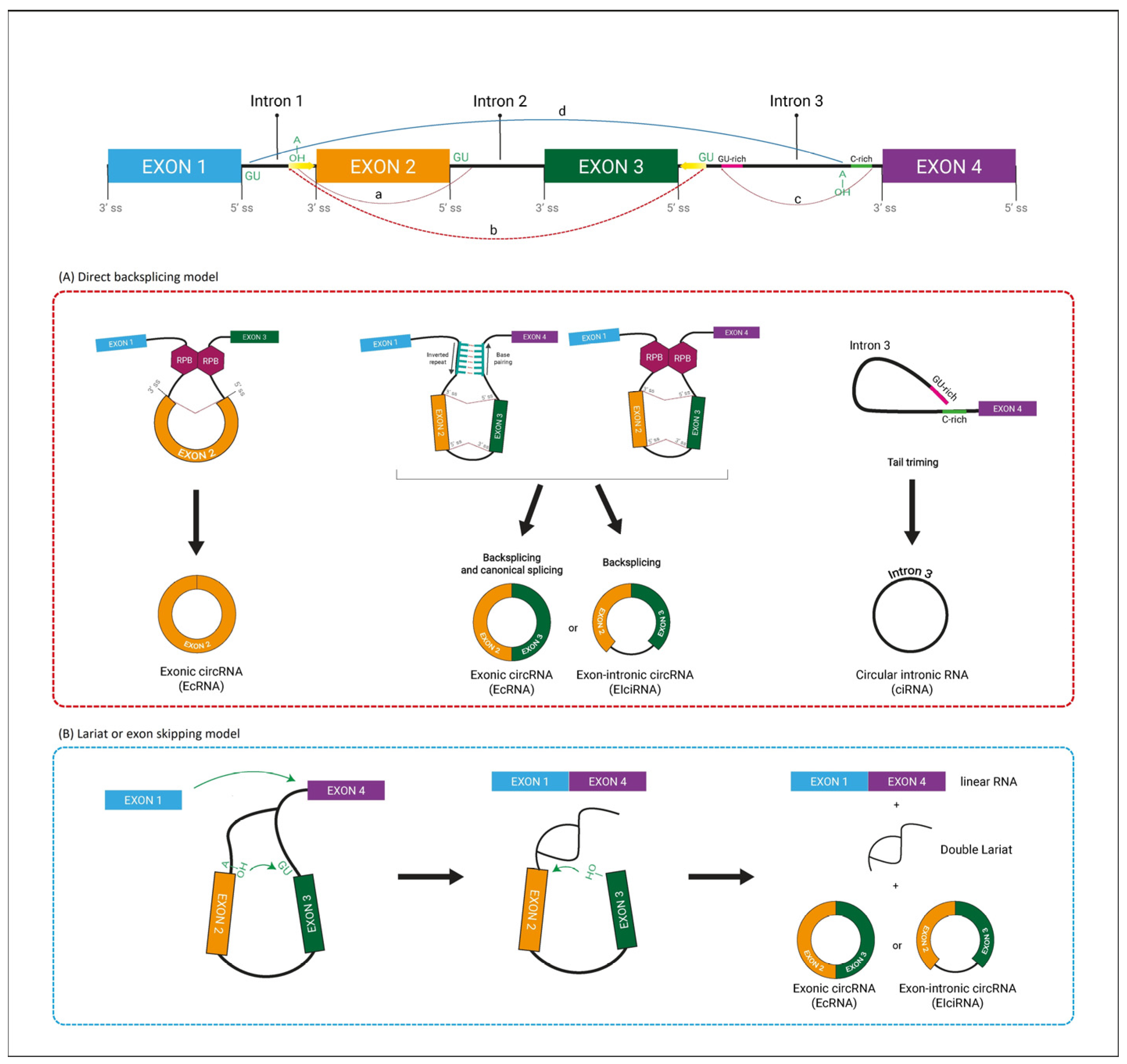 Jpm 13 00839 g001 Jpm 13 00839 g001