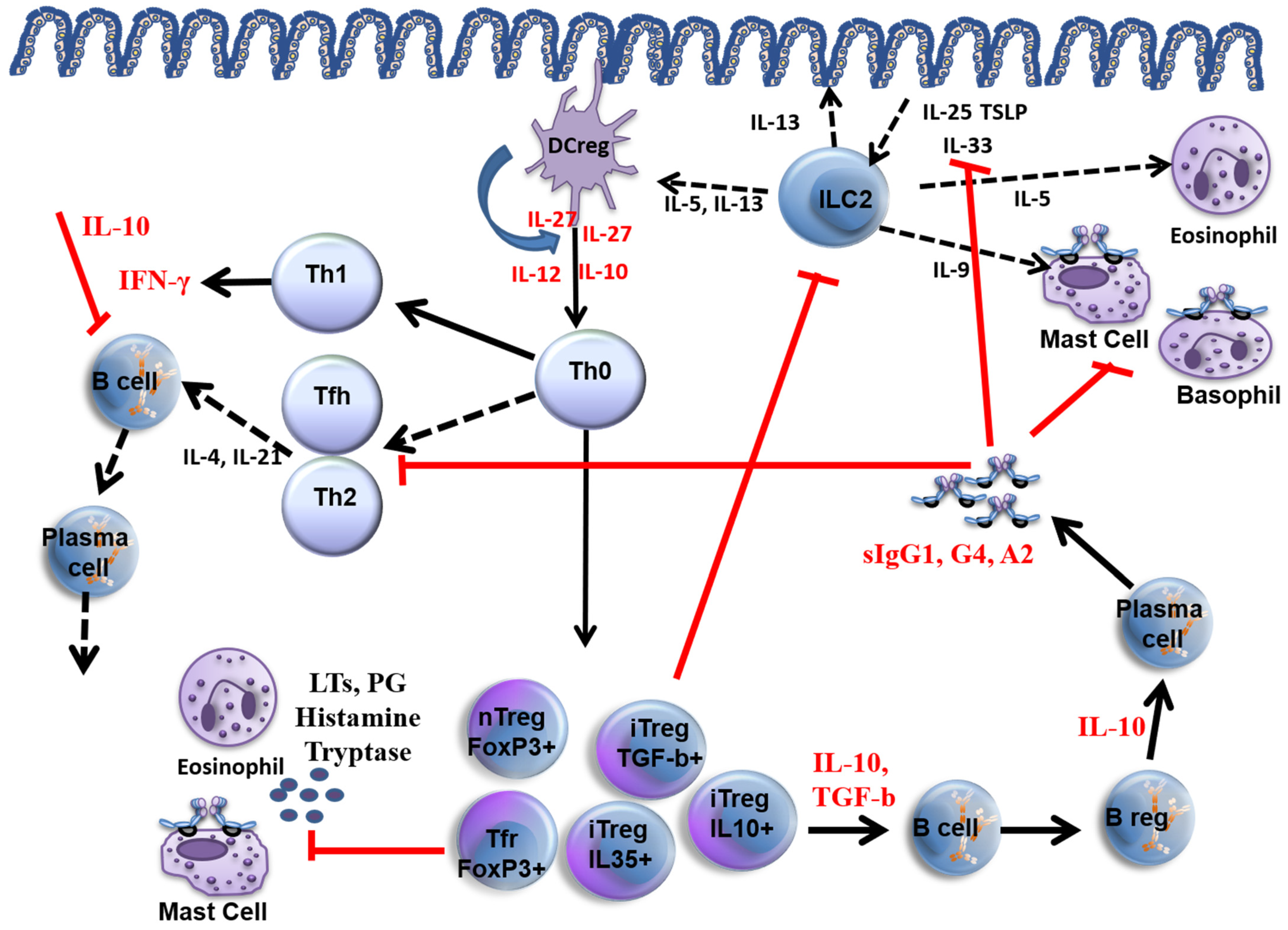 Jpm 13 00845 g001 Jpm 13 00845 g001