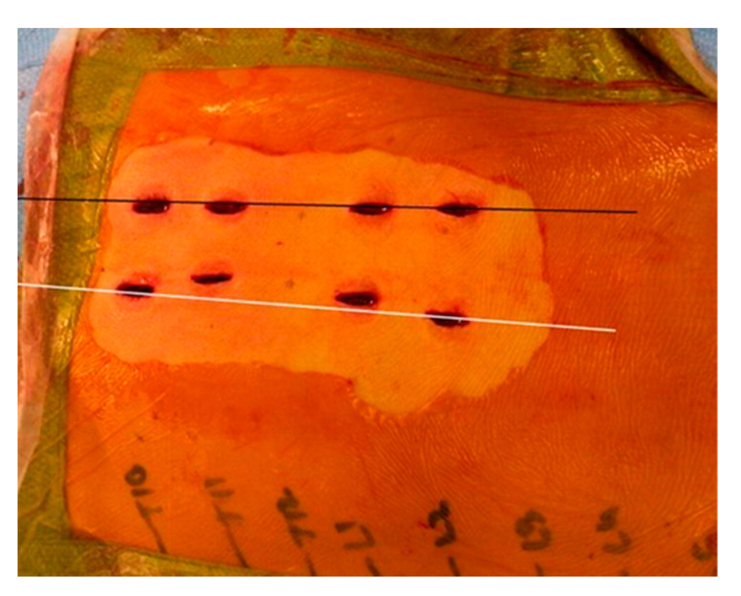 Jpm 13 00878 g001 Jpm 13 00878 g001