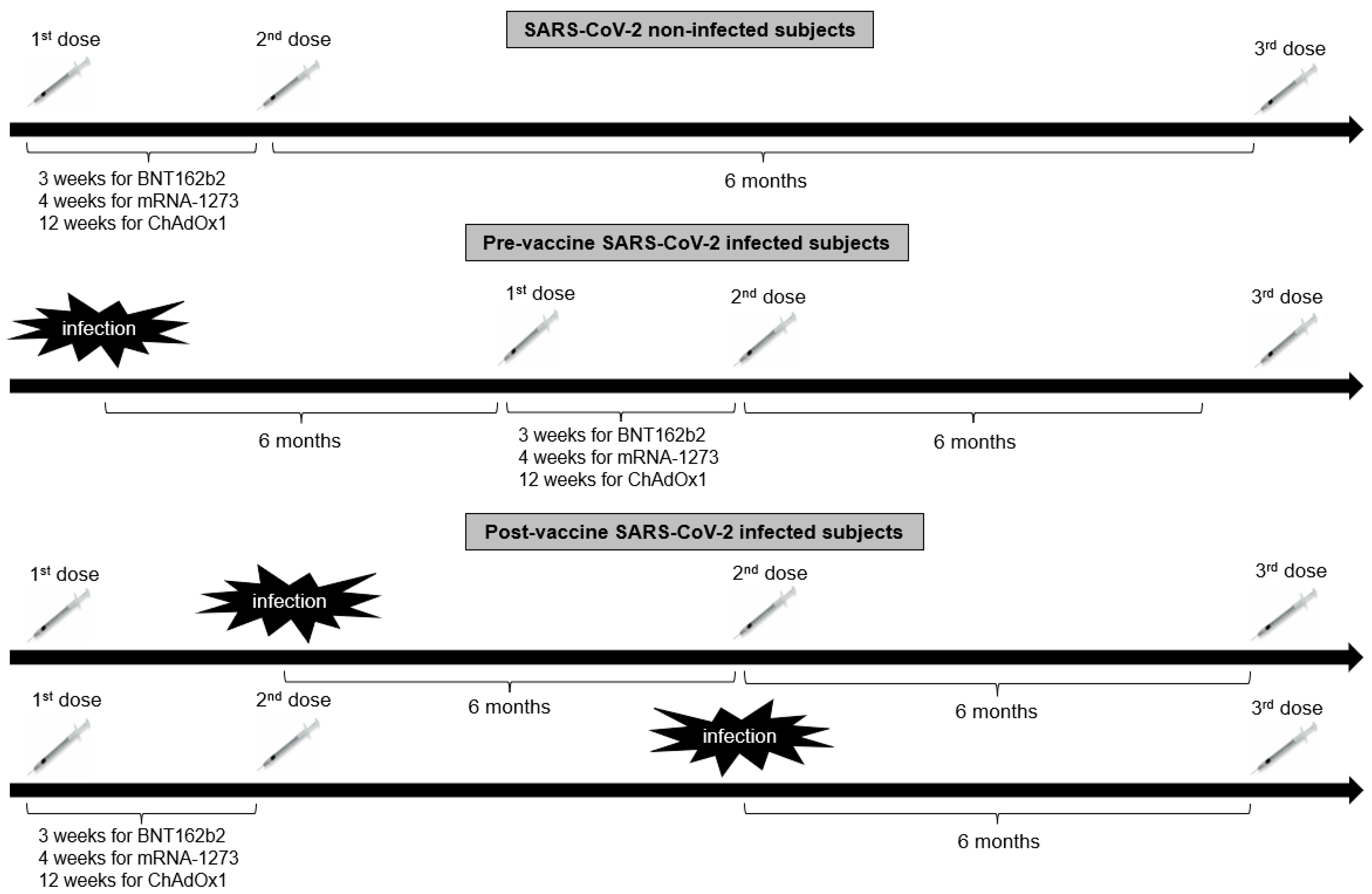 Jpm 13 00910 g001 Jpm 13 00910 g001