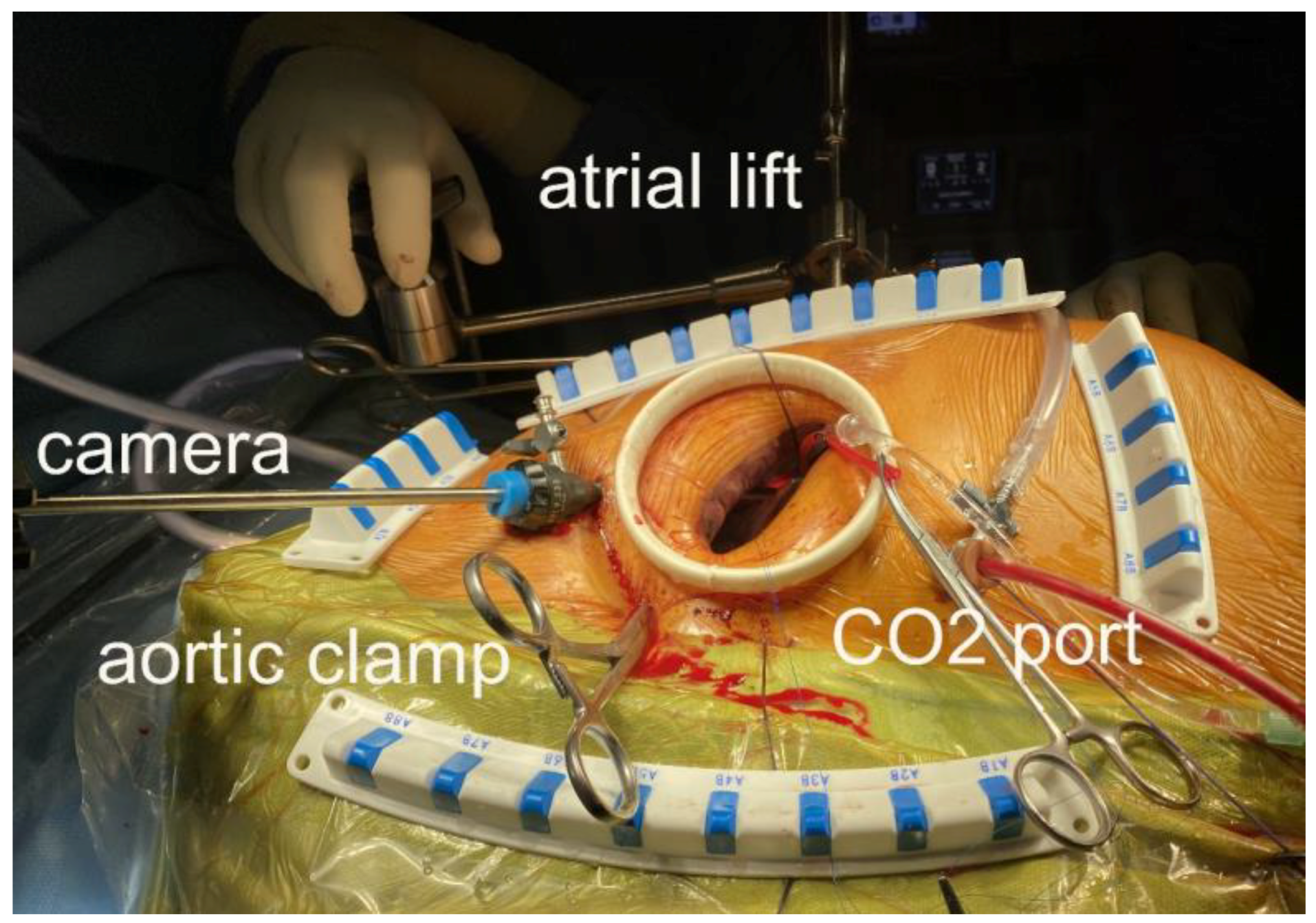 Jpm 13 00949 g001 Jpm 13 00949 g001
