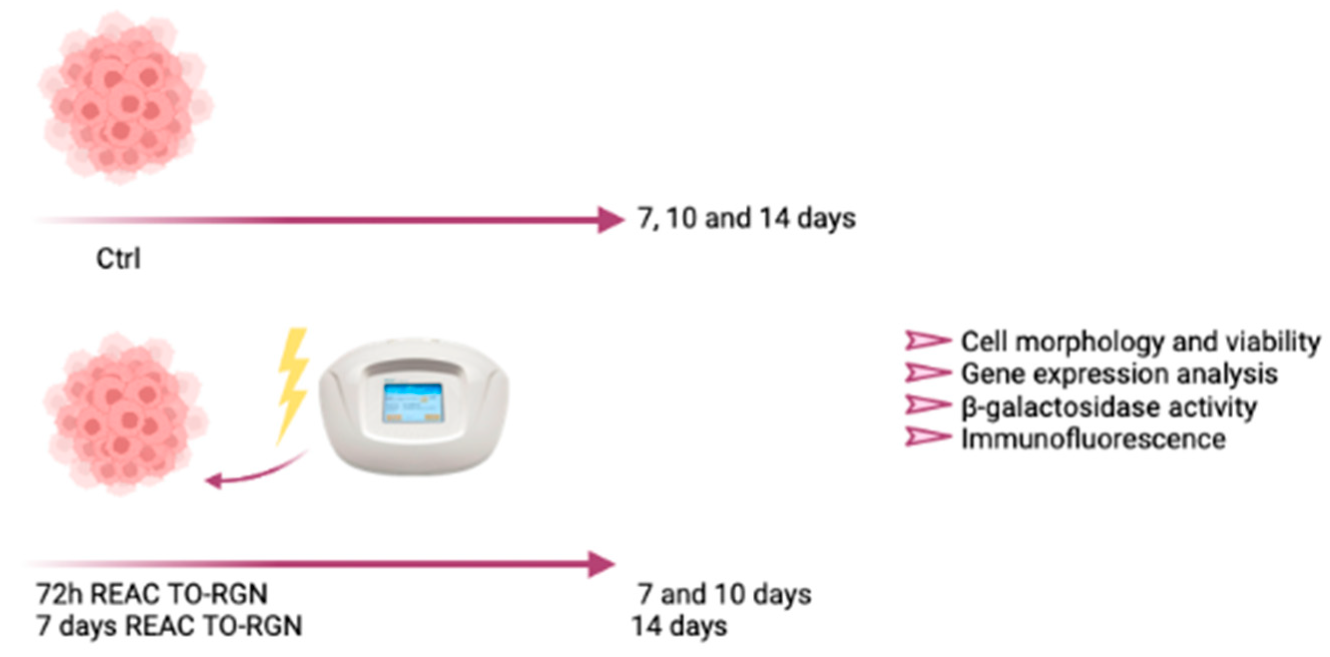 Jpm 13 01019 g001 Jpm 13 01019 g001