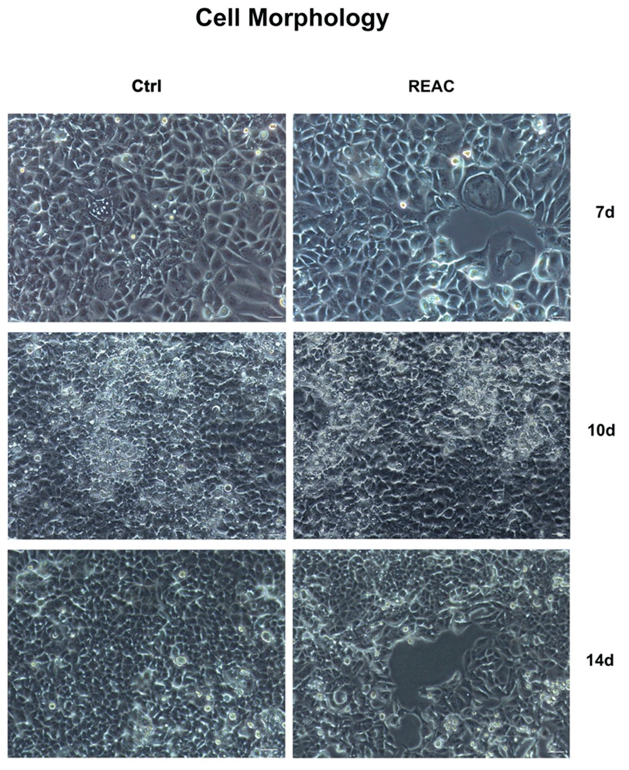 Jpm 13 01019 g002 Jpm 13 01019 g002