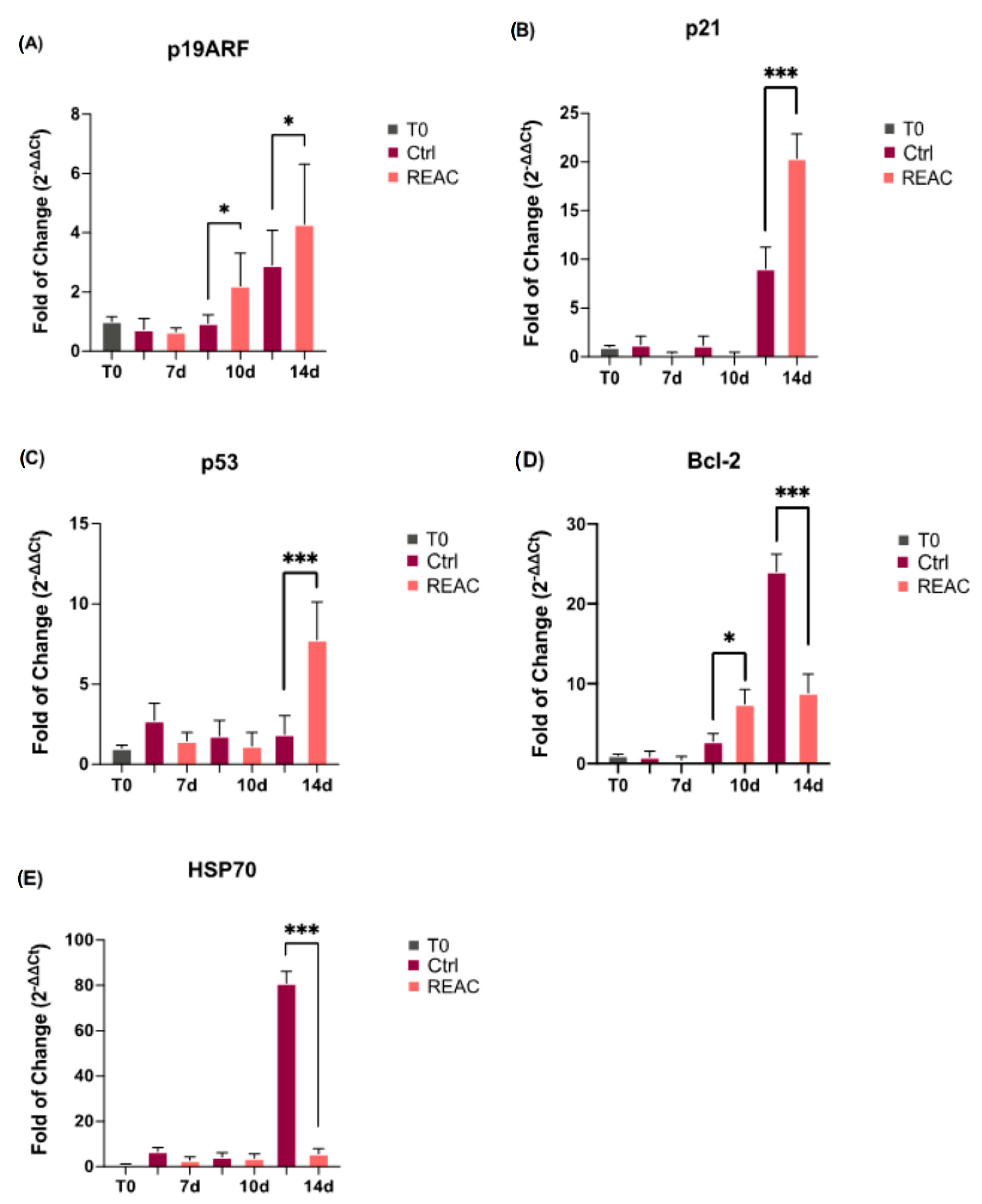 Jpm 13 01019 g005 Jpm 13 01019 g005