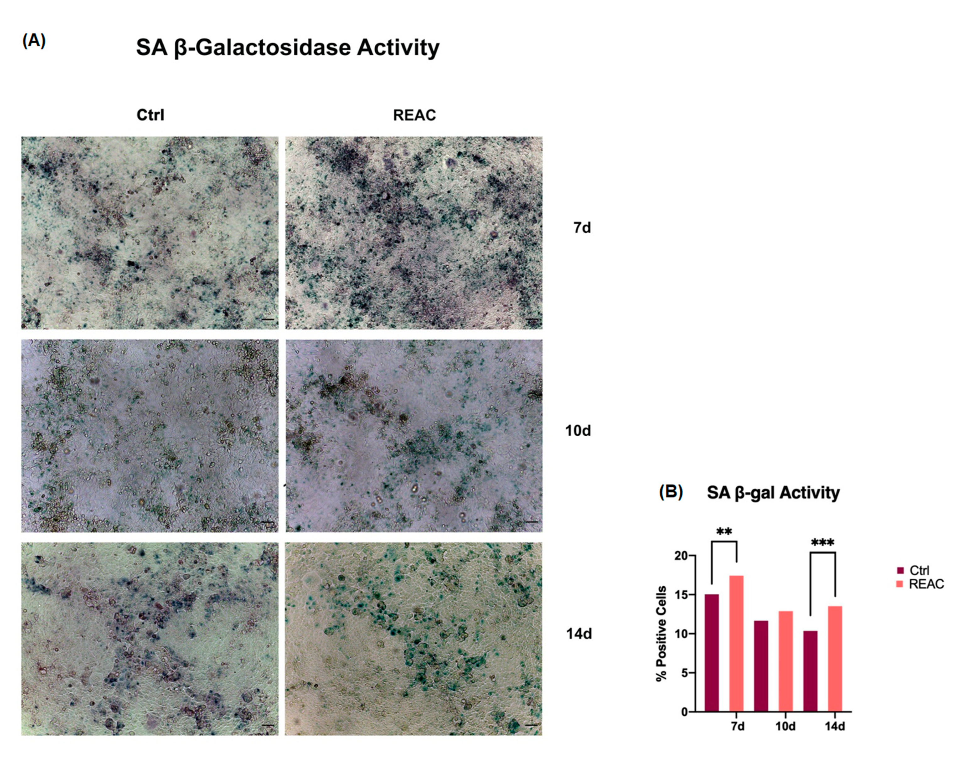 Jpm 13 01019 g006 Jpm 13 01019 g006