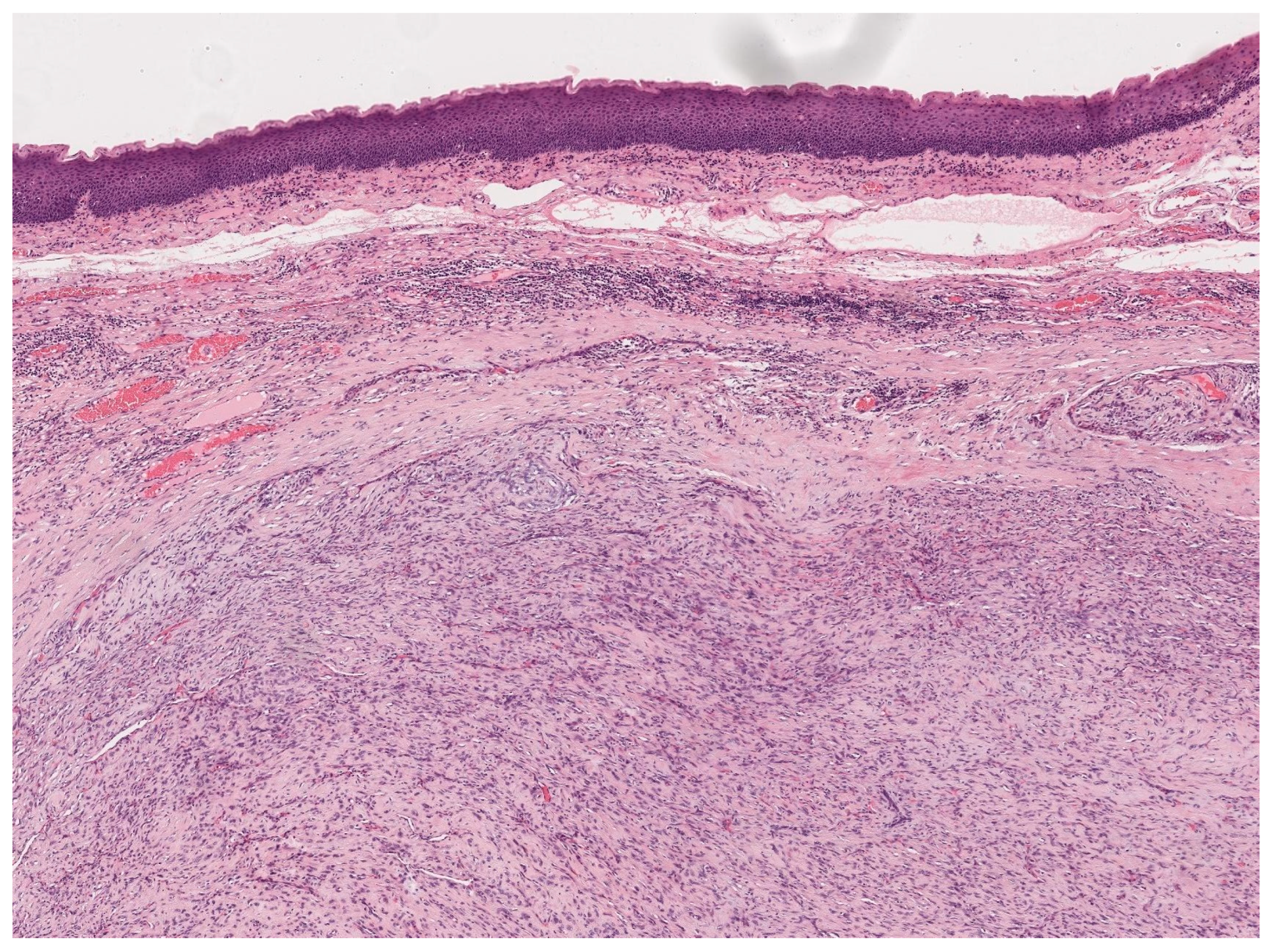 Jpm 13 01084 g002 Jpm 13 01084 g002