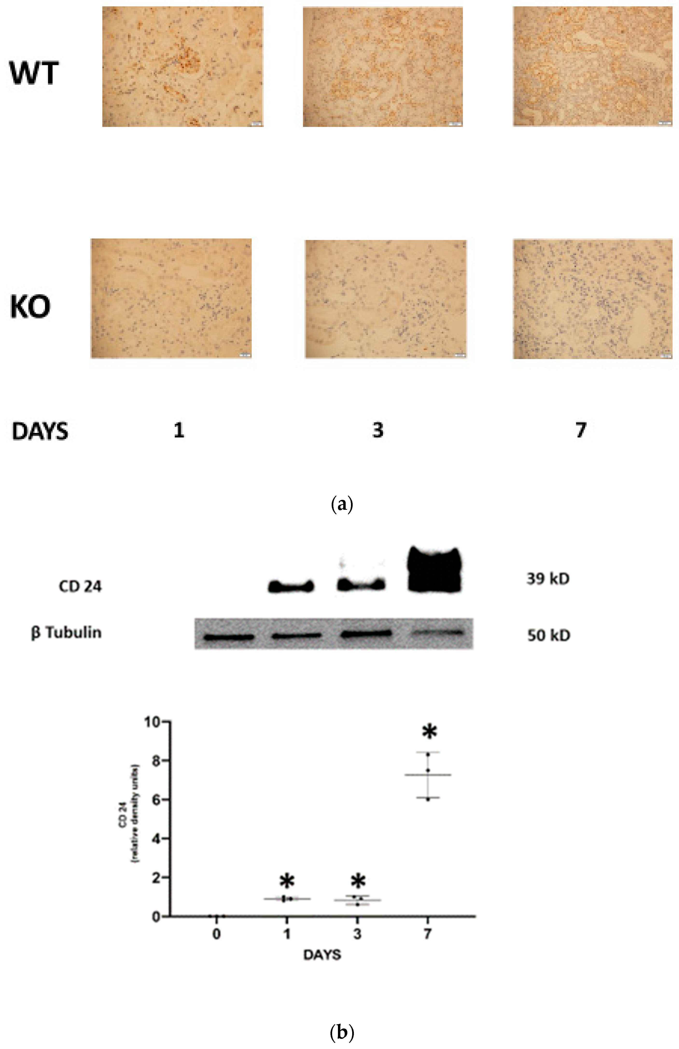 Jpm 13 01134 g001a Jpm 13 01134 g001a