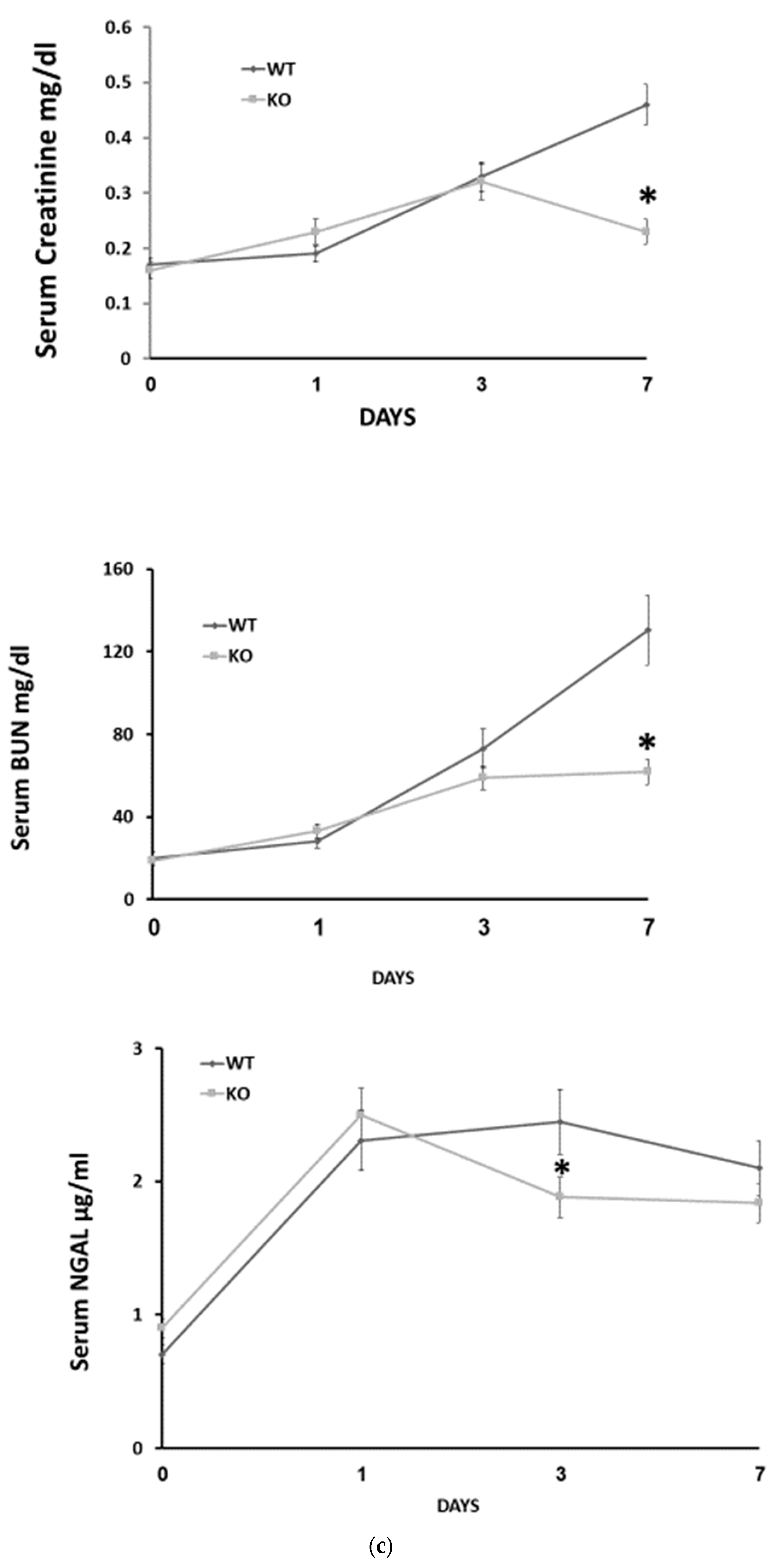 Jpm 13 01134 g001b Jpm 13 01134 g001b