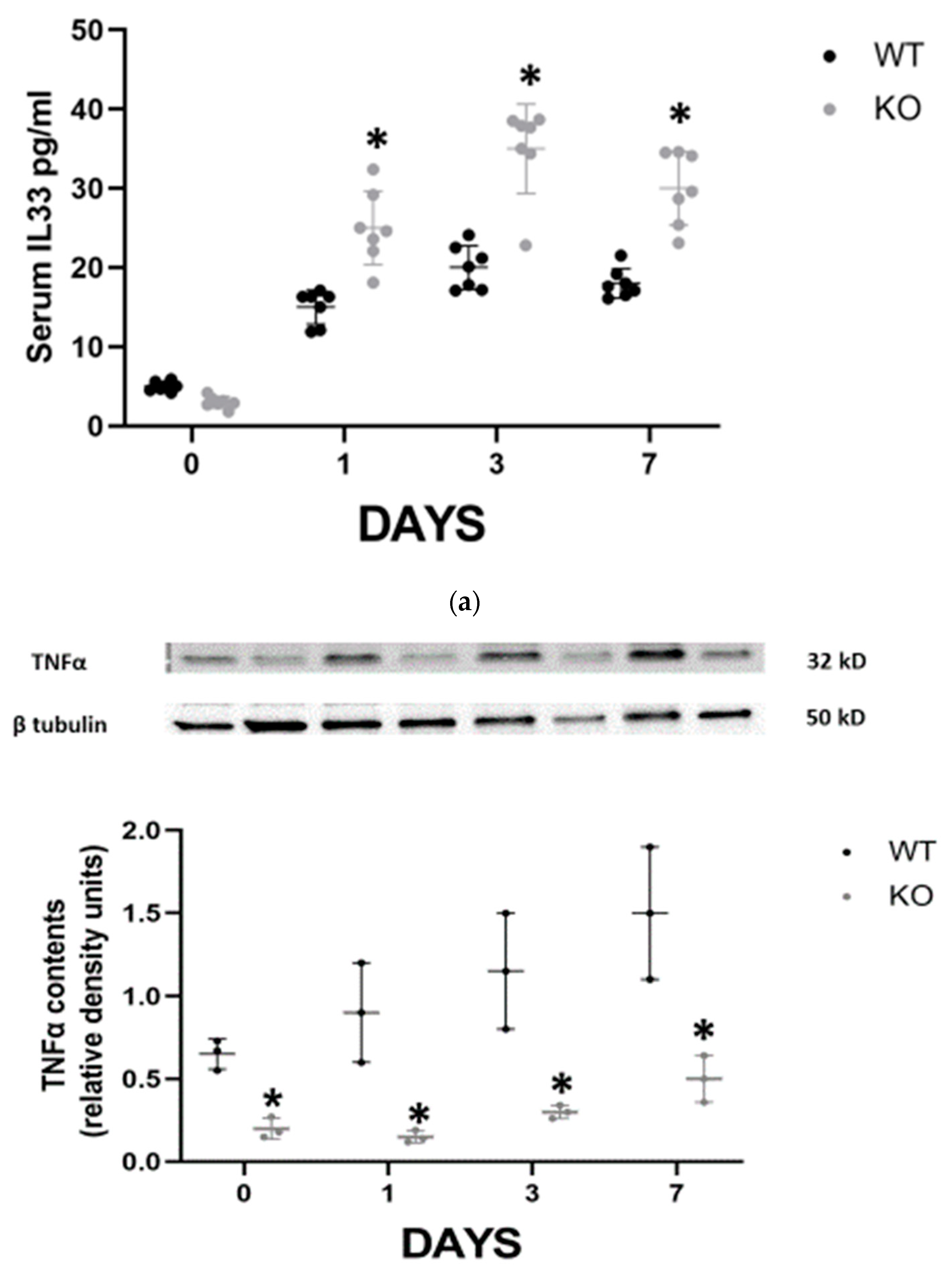Jpm 13 01134 g002b Jpm 13 01134 g002b